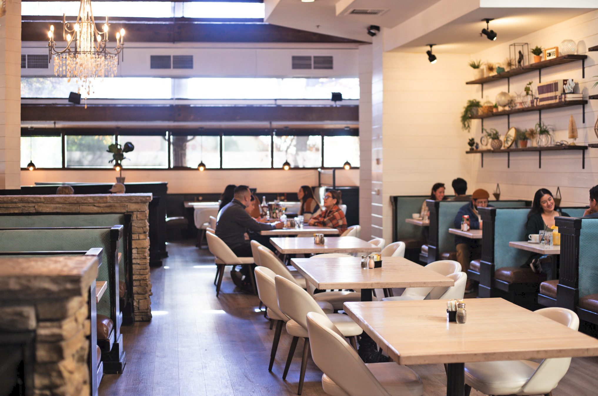 Inside a cozy restaurant with groups of people dining at wooden tables, decorated with plants and shelves on white walls, large windows letting in natural light, and a chandelier hanging from the ceiling.