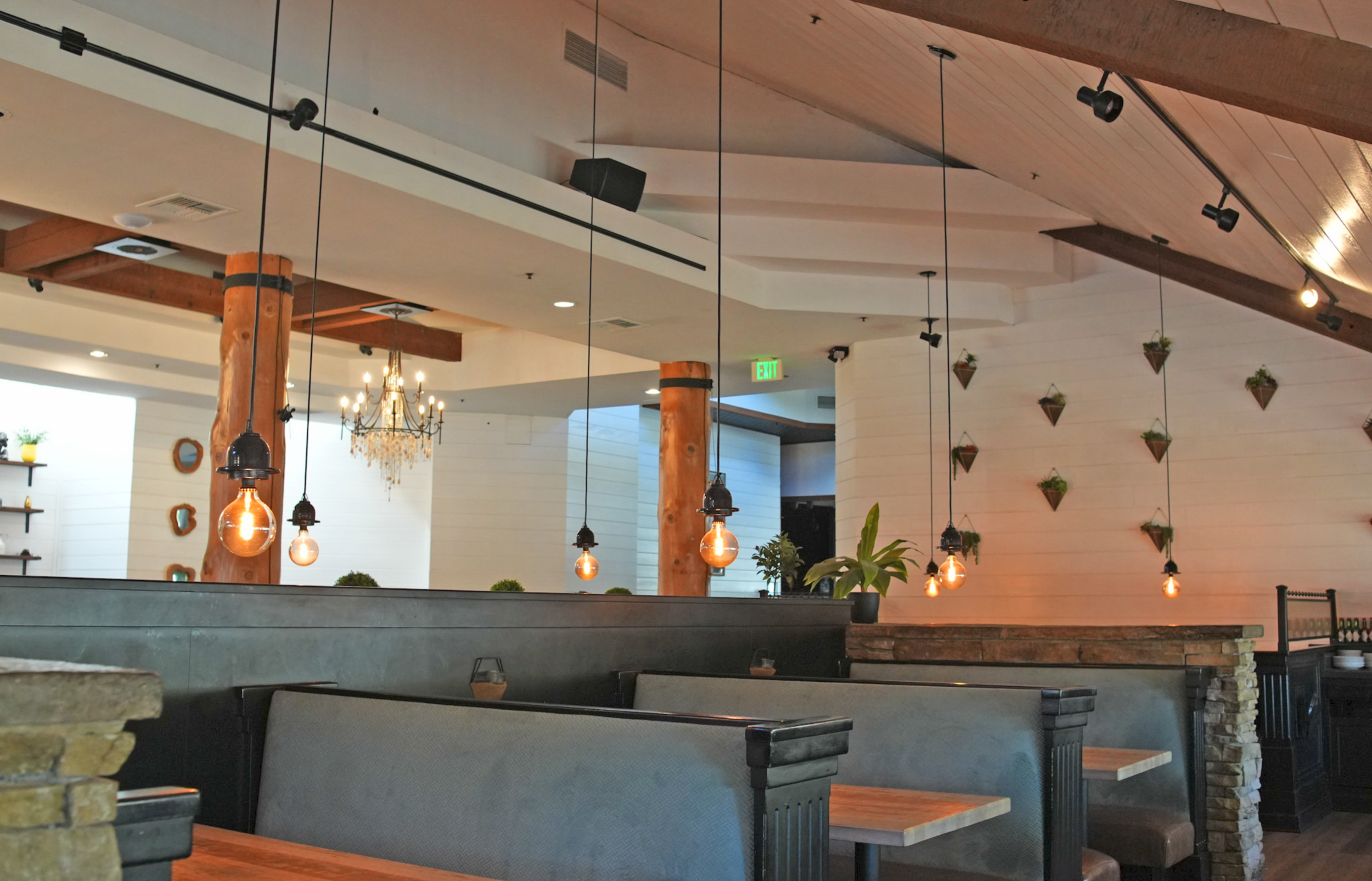 Interior of a modern restaurant with hanging Edison-style light bulbs and decorative wall greenery.