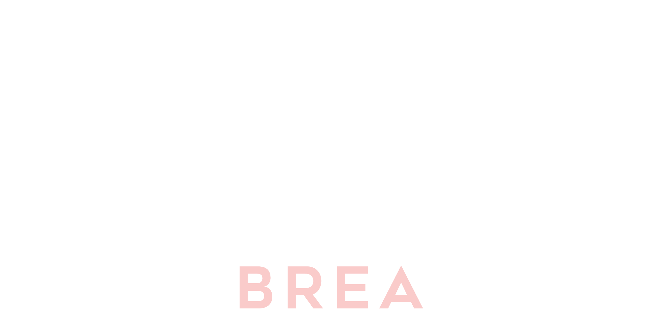 Black background with white text reading 'TOAST KITCHEN & BAR' and light pink text reading 'BREA'.