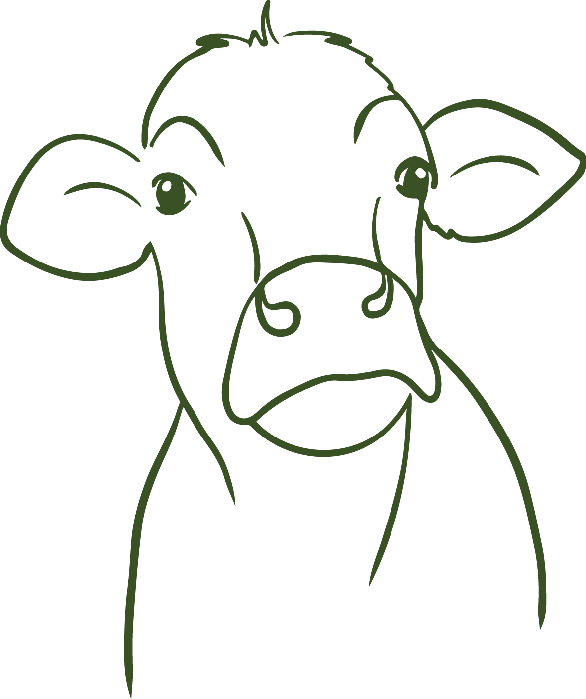 Line drawing of a cow's face, with large ears, eyes, and a snout, rendered in simple green outlines.