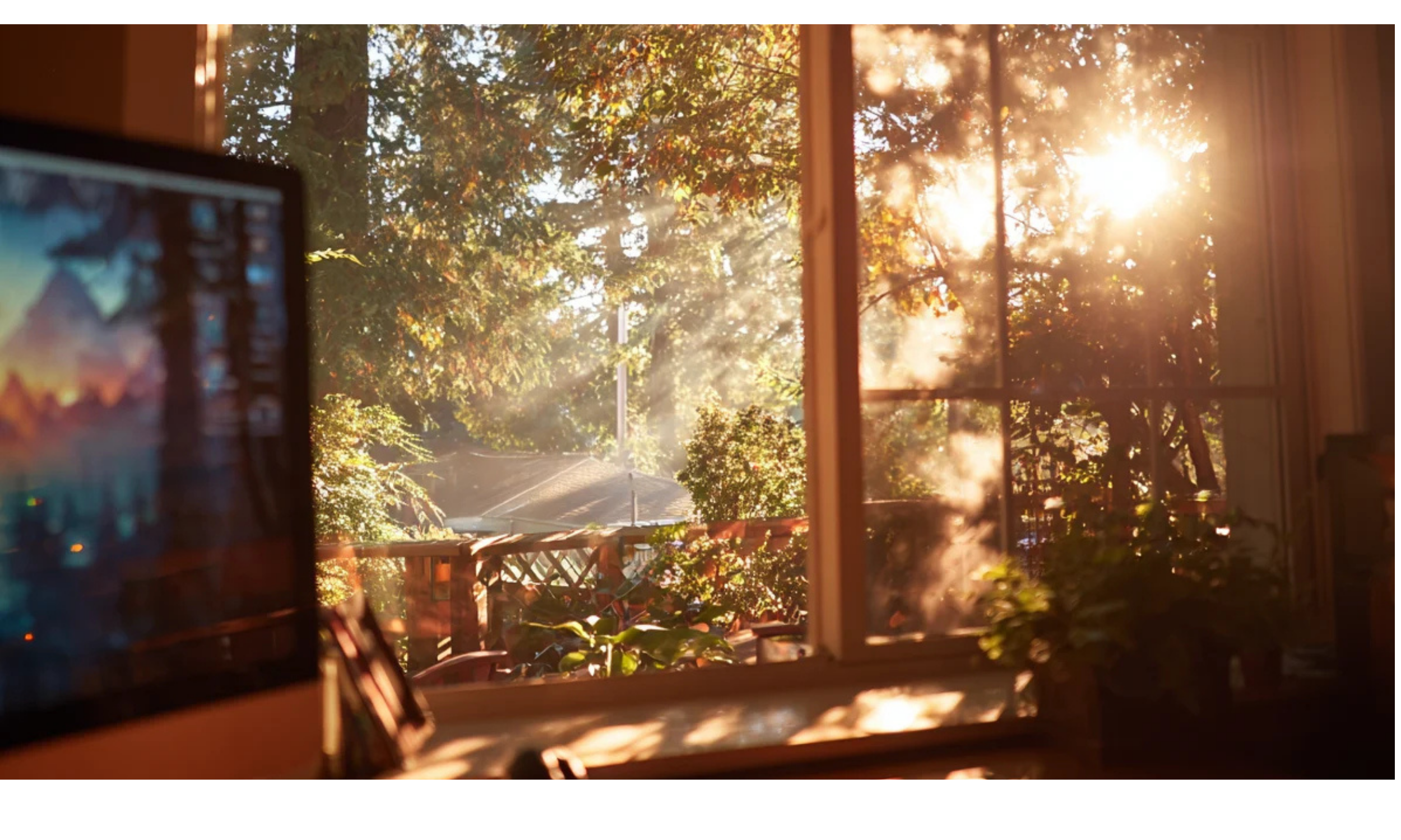 Sunlight streaming through a window onto a green leafy tree outside, with a blurred computer monitor on the left inside the room.
