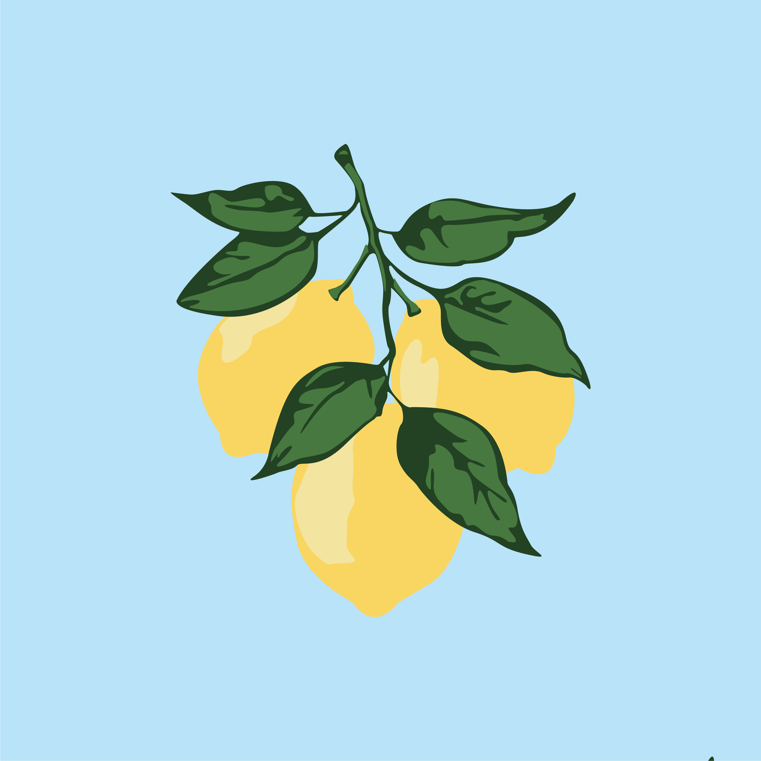 Alpha Xi Delta Bid Day 2024