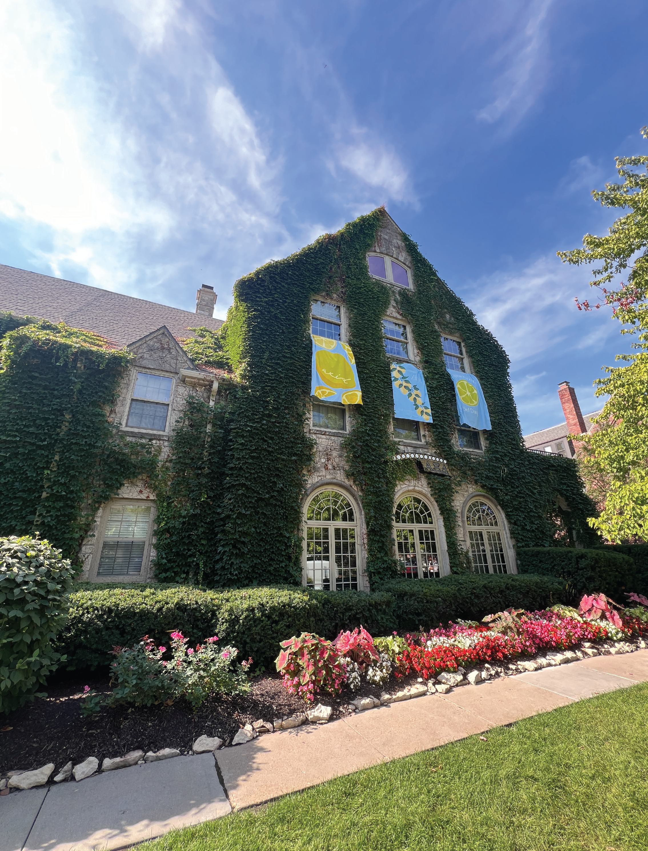 Untitled-1 (2)-12.png