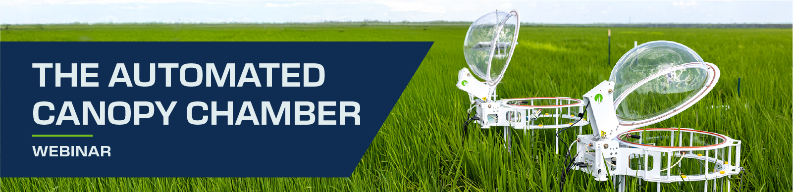 pdfsArtboard 4@2.55.png