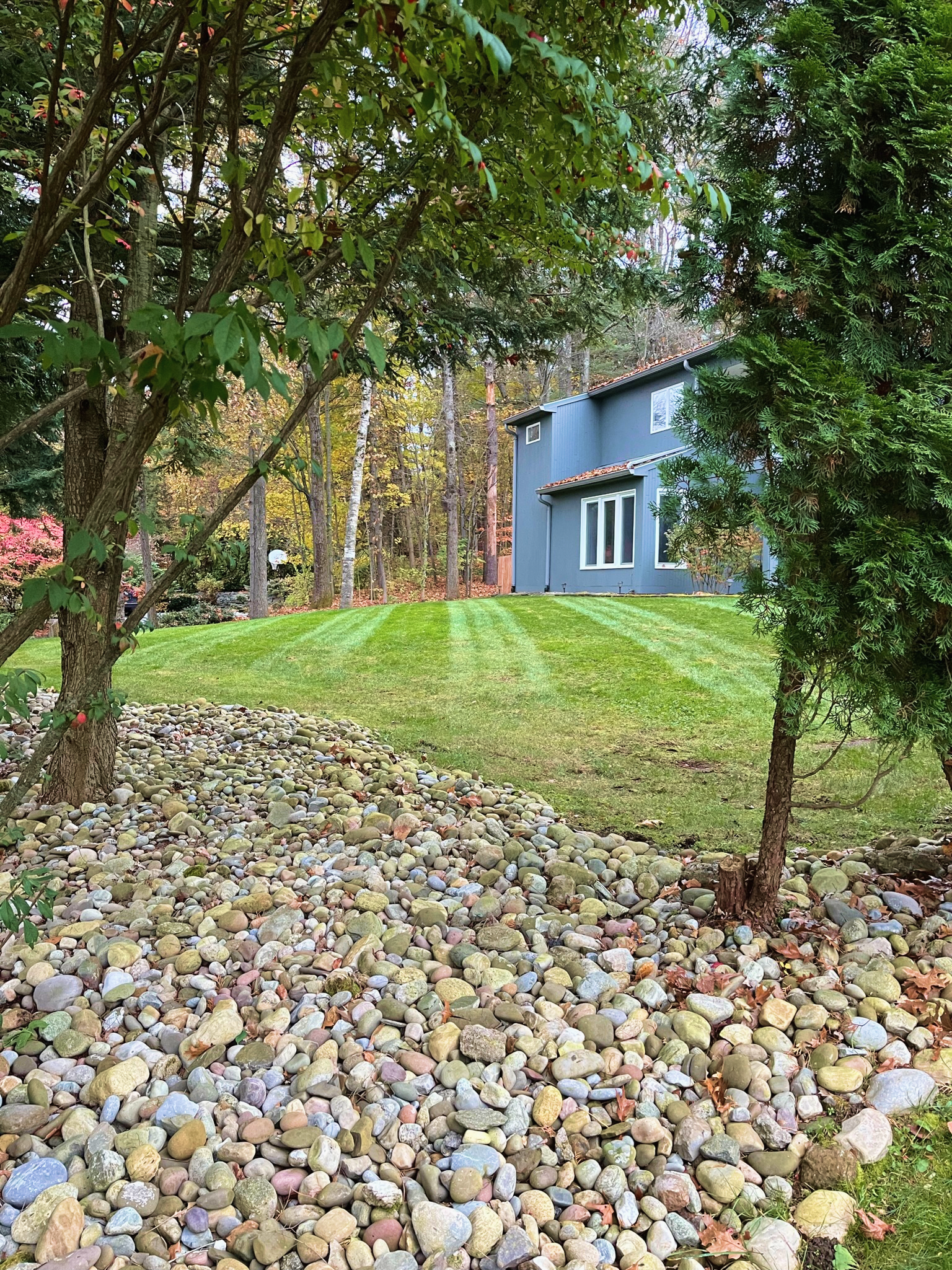 A backyard with a grassy lawn, trees, and a blue house in the background. The foreground has a pile of multicolored rocks and a small tree.