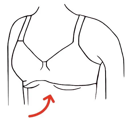 Line drawing of a person wearing a bra with a red arrow pointing to the underbust area.