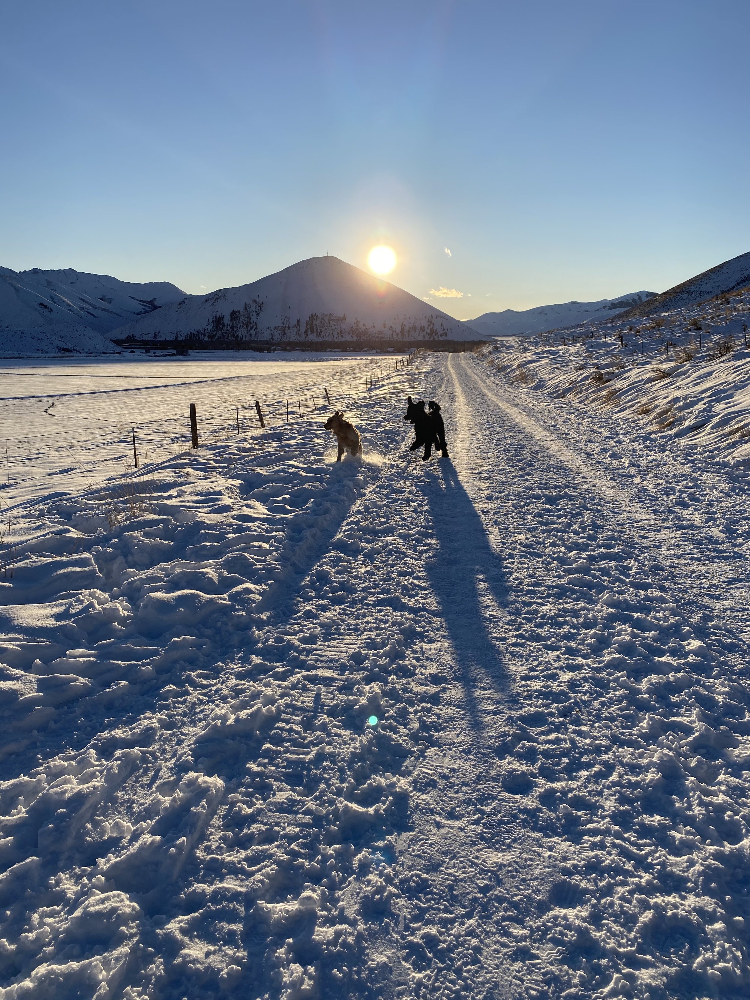 Snow-covered landscape with a dirt road, mountains in the background, and two dogs playing in the snow during sunset.