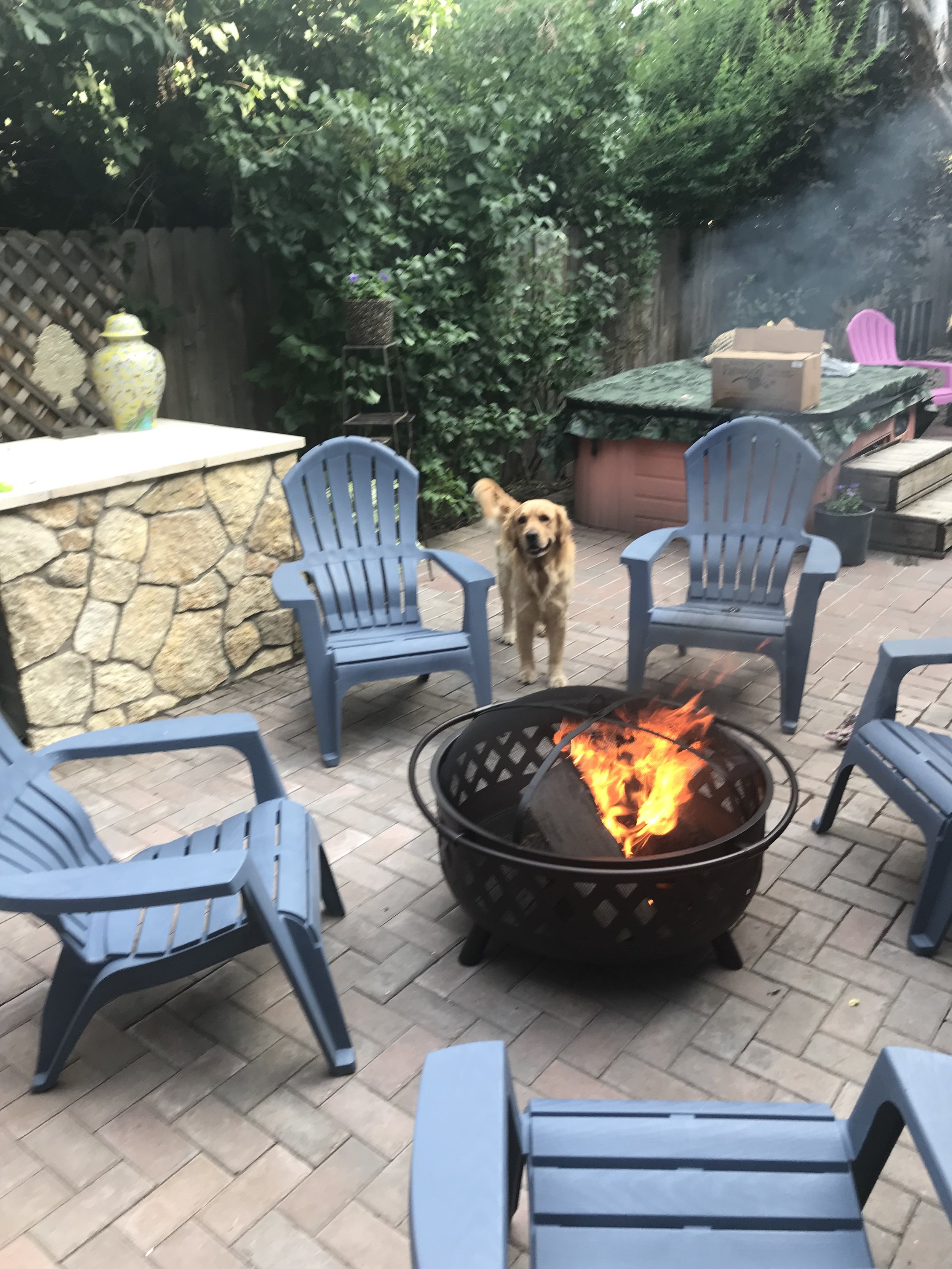 A backyard patio with a fire pit surrounded by six blue chairs, a dog standing behind the chairs, and various outdoor furniture and plants in the background.