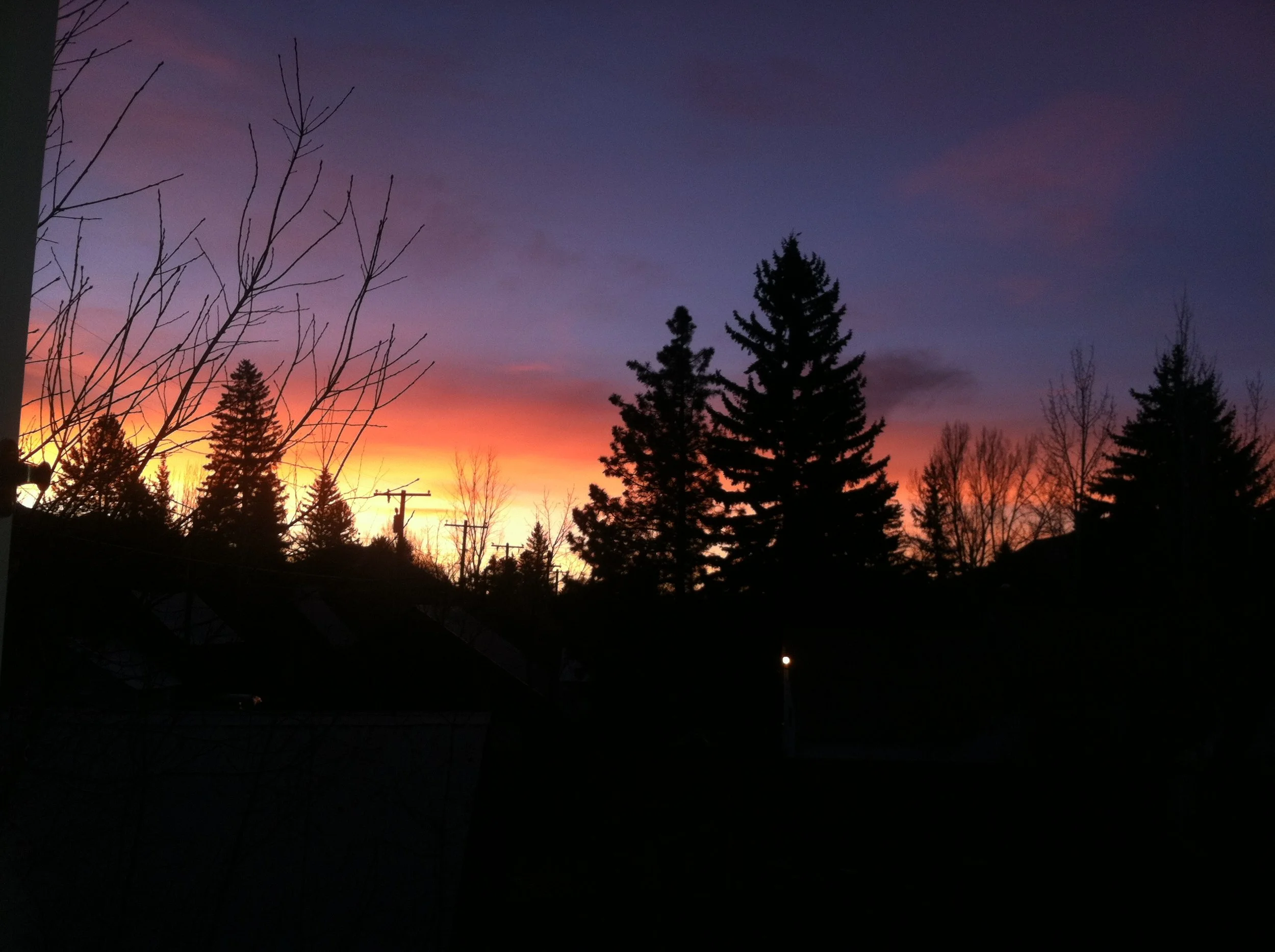 Silhouettes of trees against a colorful sunset sky with shades of orange, pink, and purple.