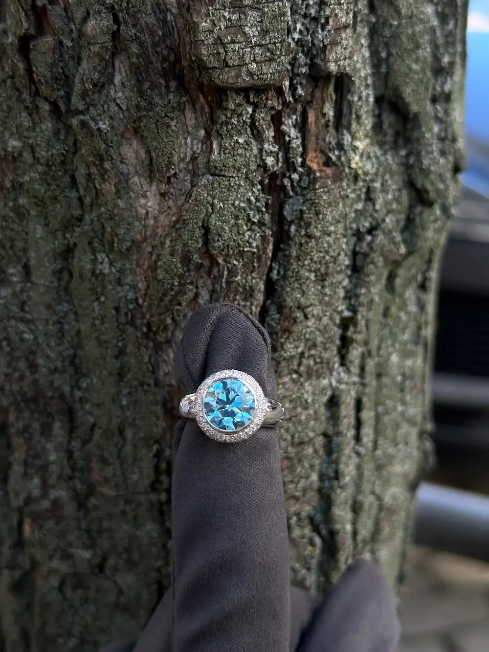 Close-up of a hand wearing a black glove, displaying a large blue diamond ring with a halo of small diamonds in snow setting, against a tree bark background.