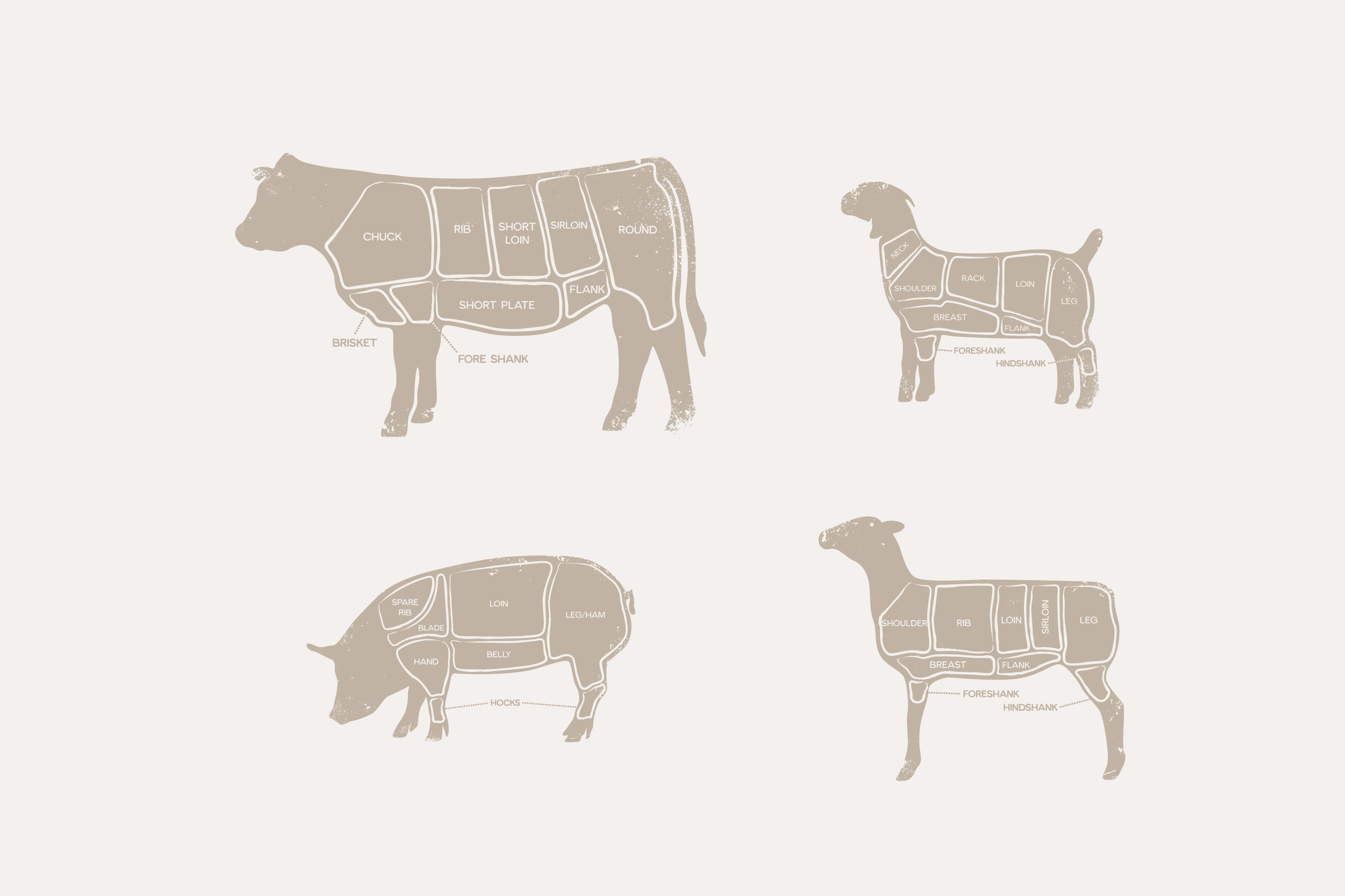 Custom illustrations for Western Heritage Meat Company.