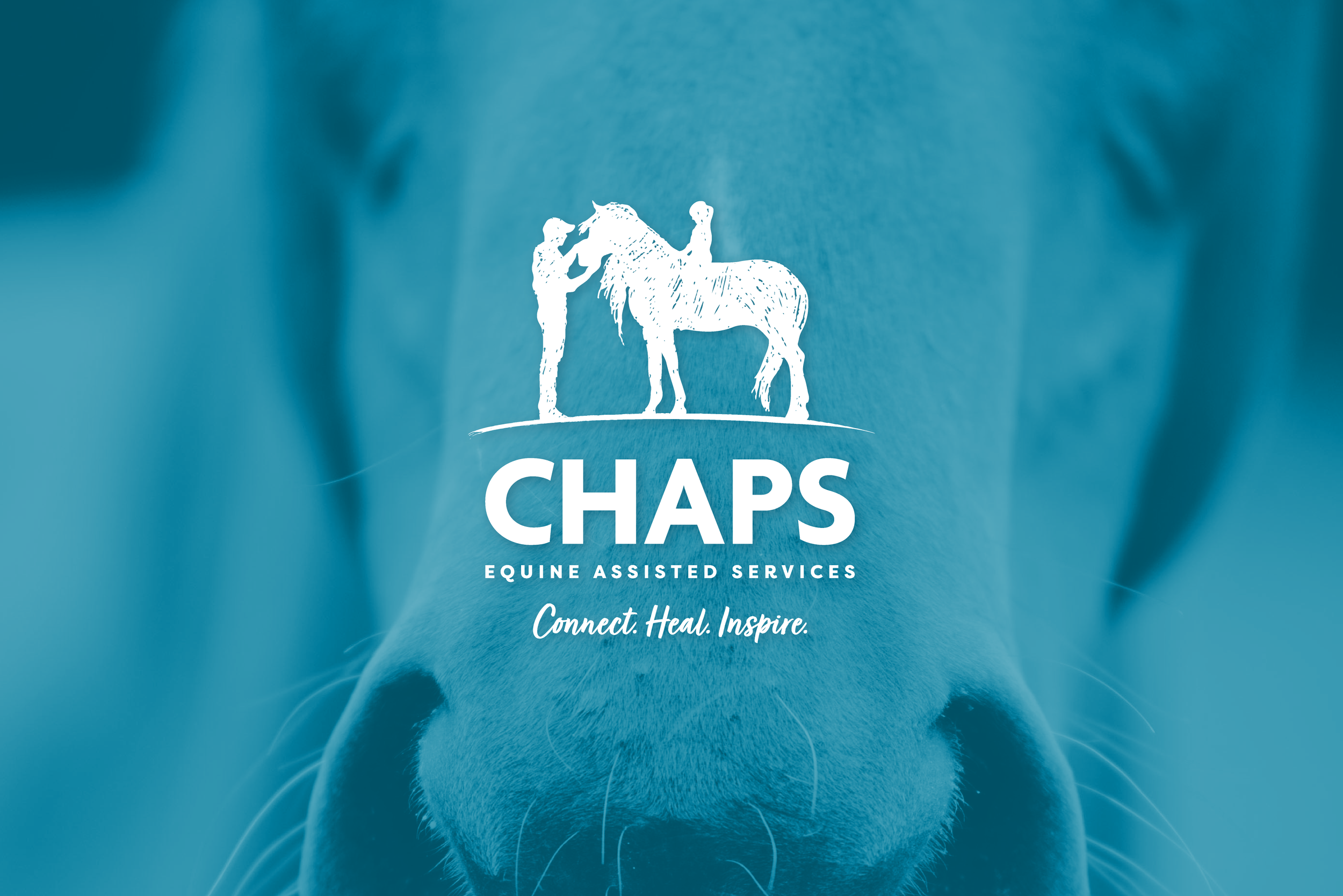 CHAPS Equine Assisted Services logo against an image of a colorized horse.