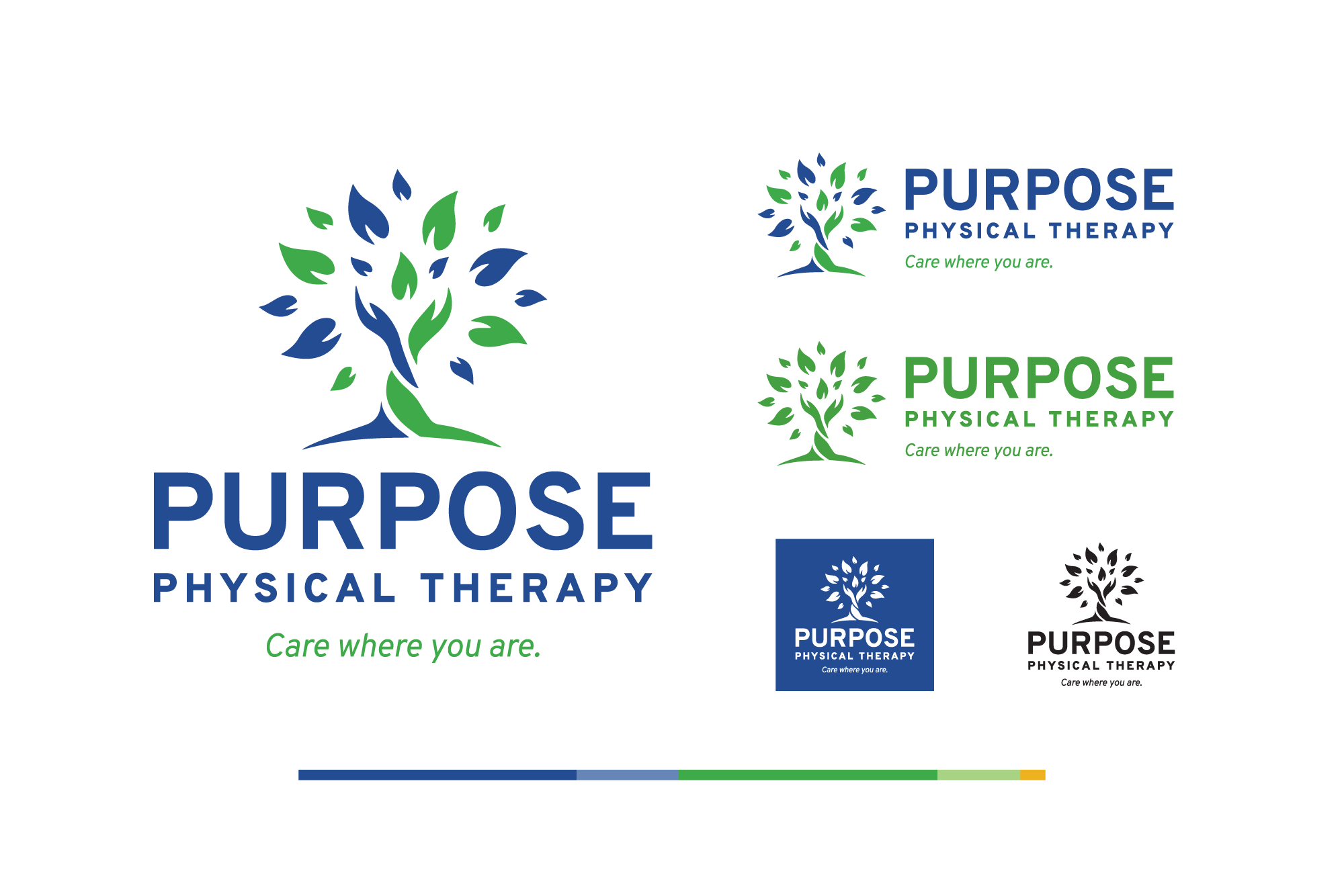 Purpose Physical Therapy branding elements including logo design and color palette.