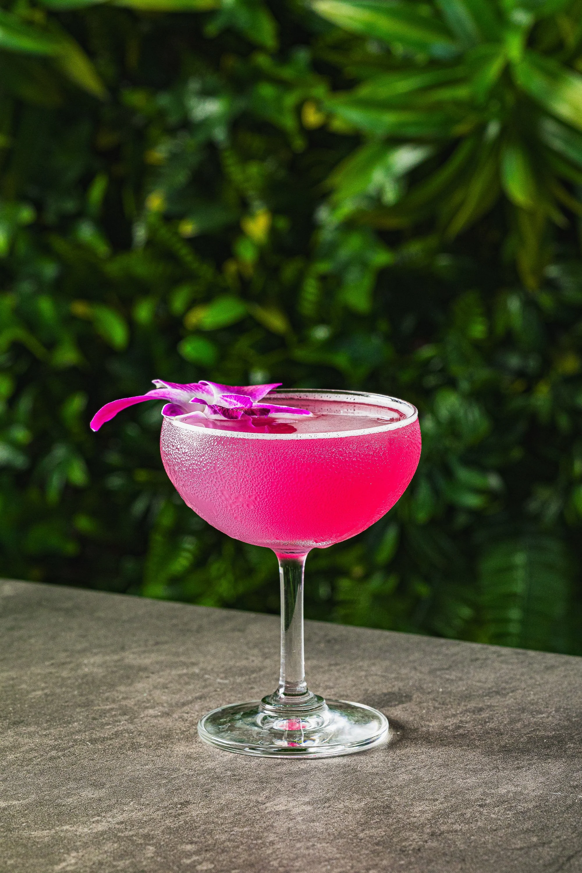 Bright pink cocktail in coupe glass with orchid garnish on bar counter against green foliage wall