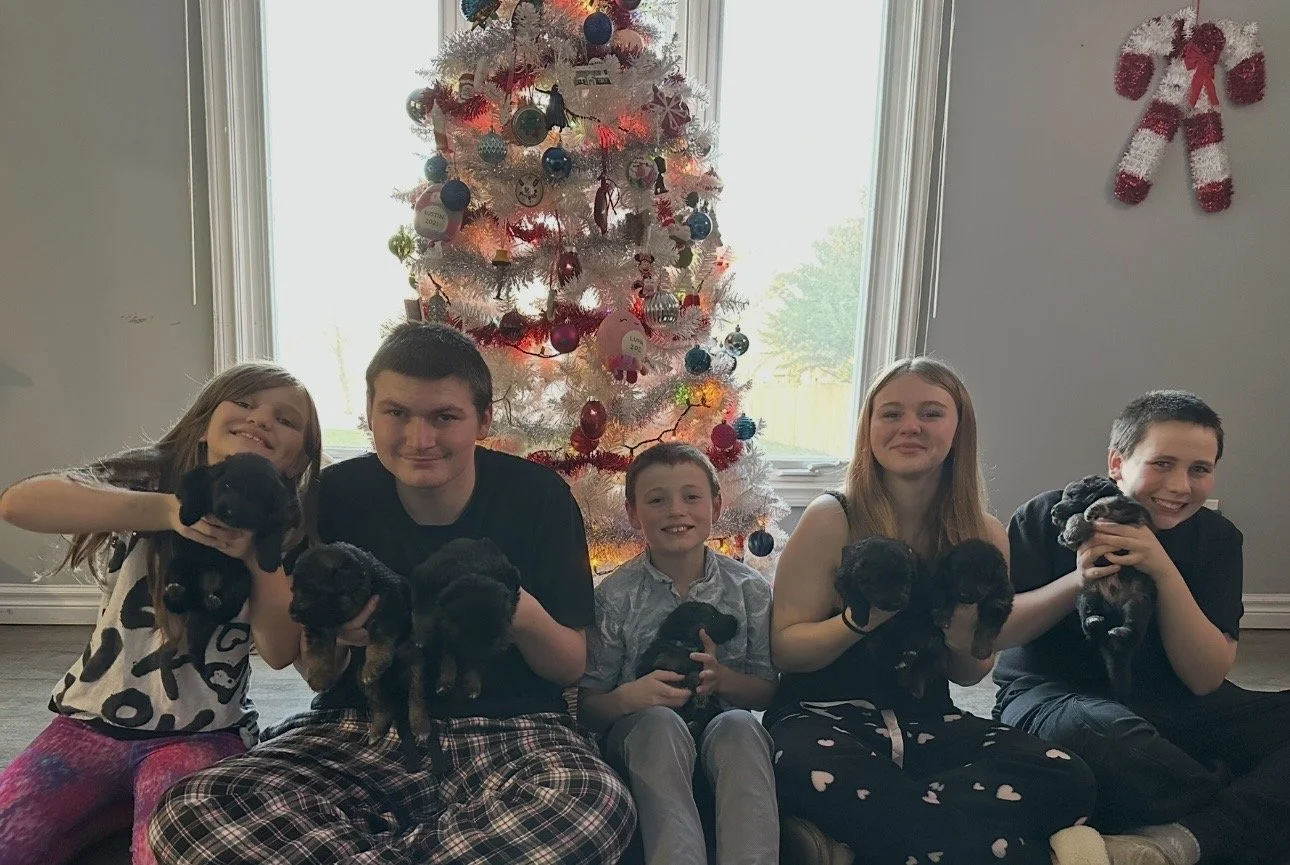 Five children sitting on the floor in front of a decorated Christmas tree, each holding a black puppy.