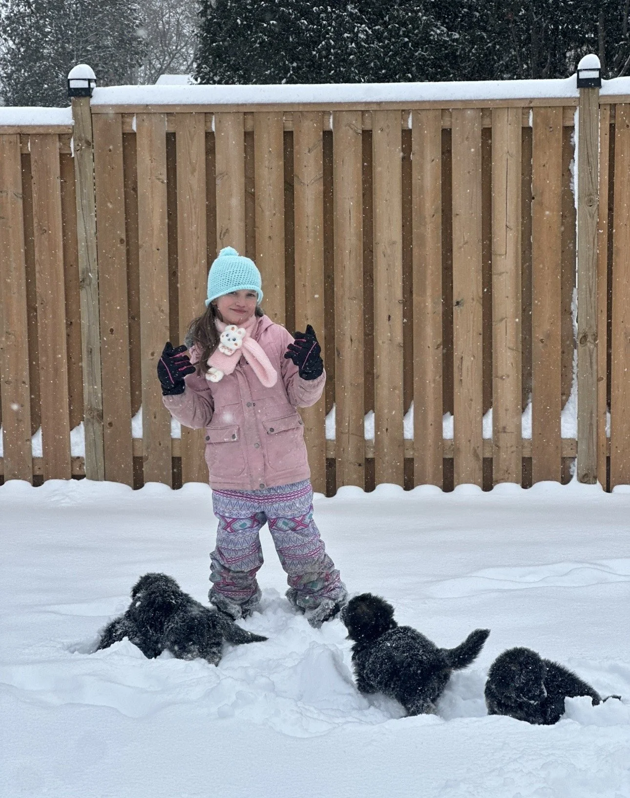 A girl in winter clothing standing in the snow with four small black puppies playing around her.