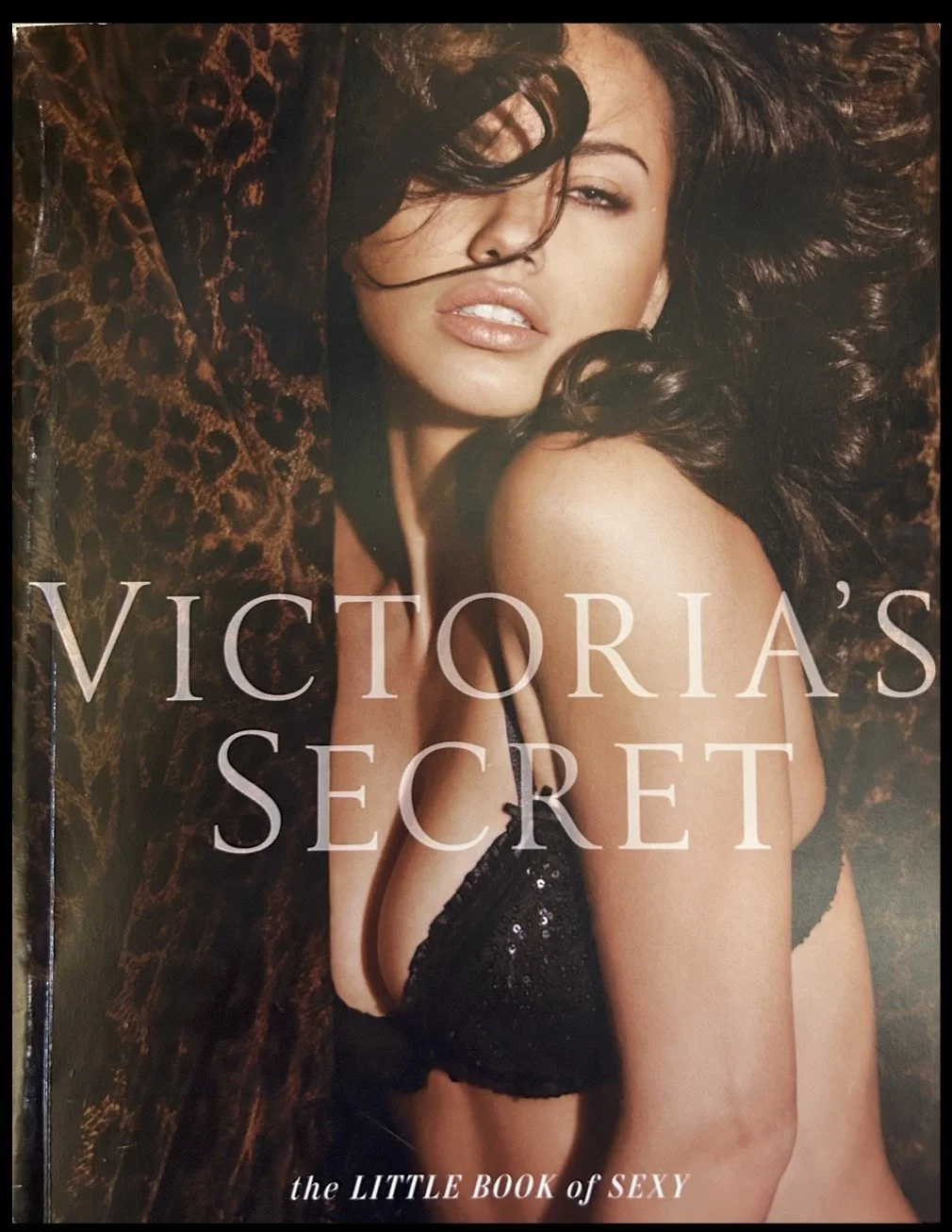 PROVOCATIVE COLLECTIONS