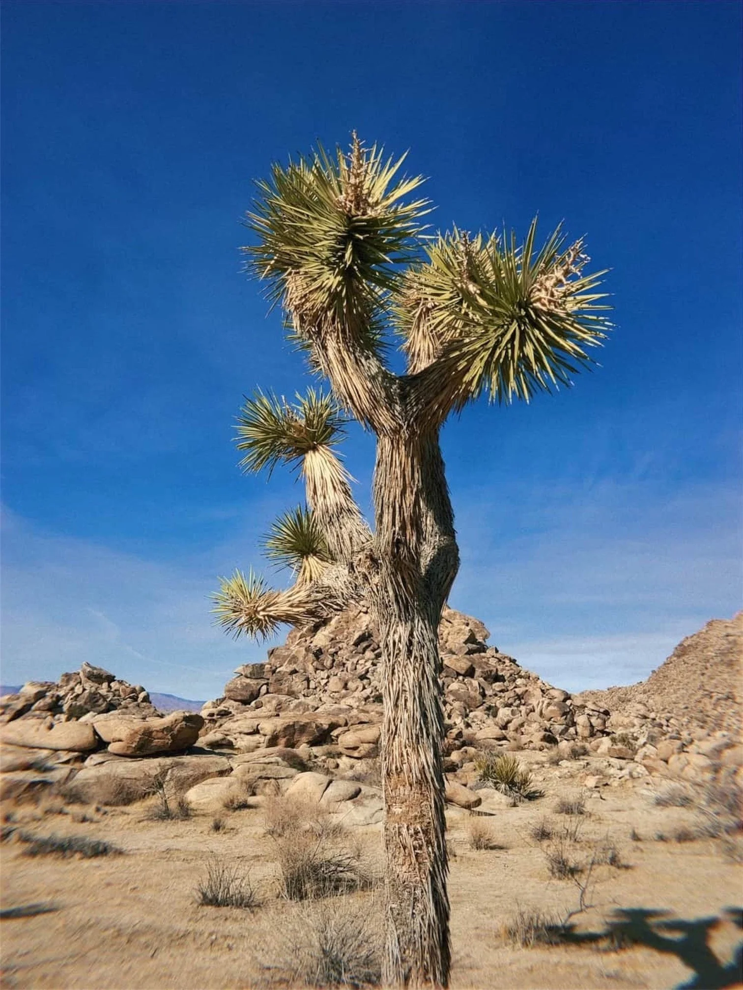 Leadership and Business Coaching