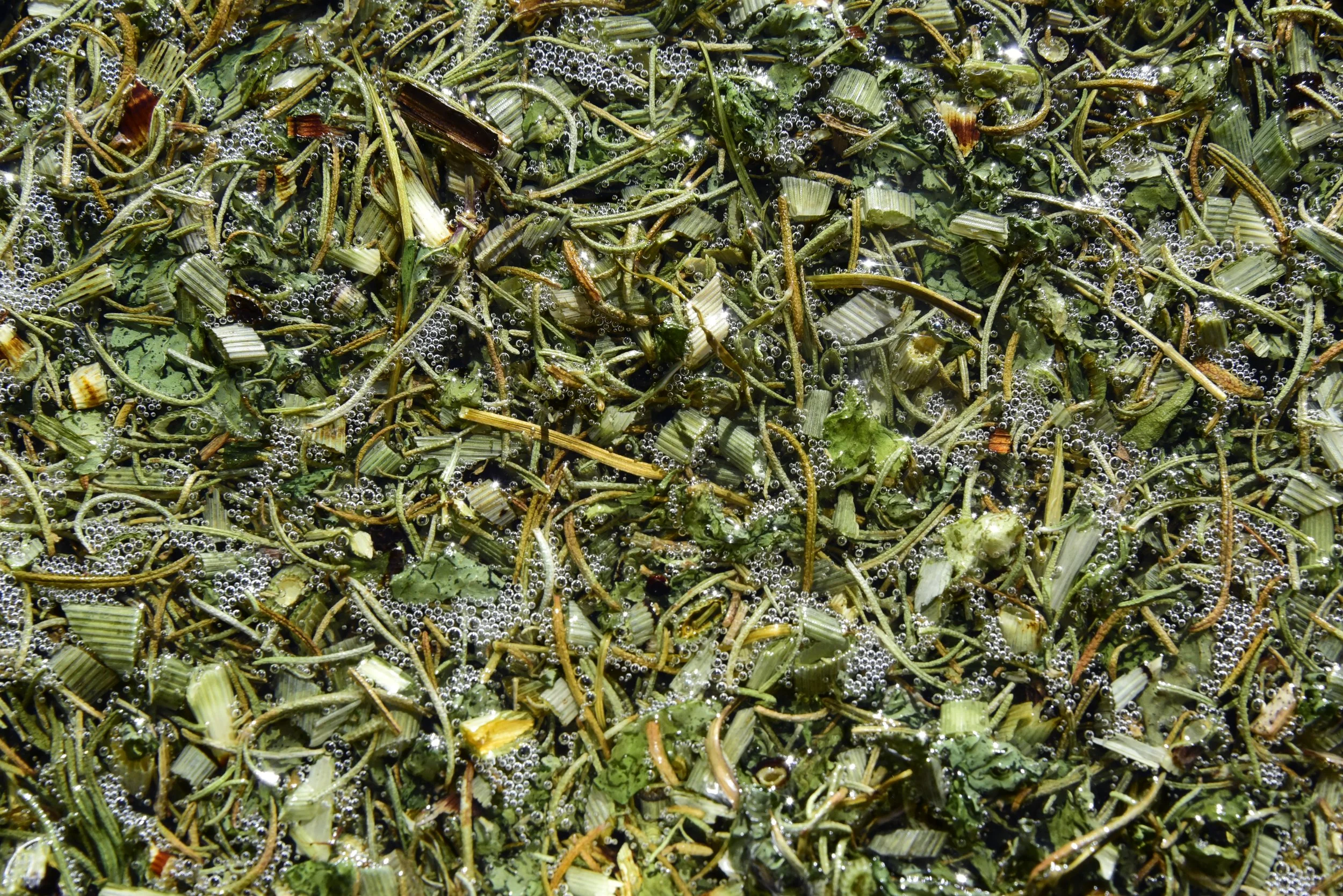 A dense mixture of green botanics submerged in oil with bubbles on the surface.