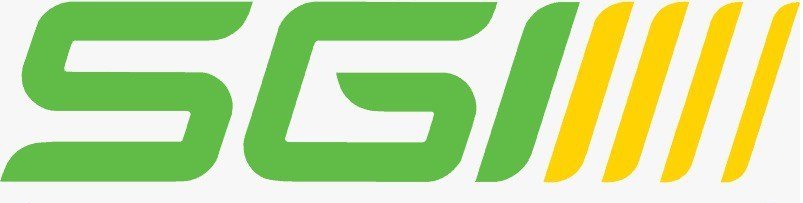 The logo of the sports brand SG, featuring stylized green letters and yellow stripes.