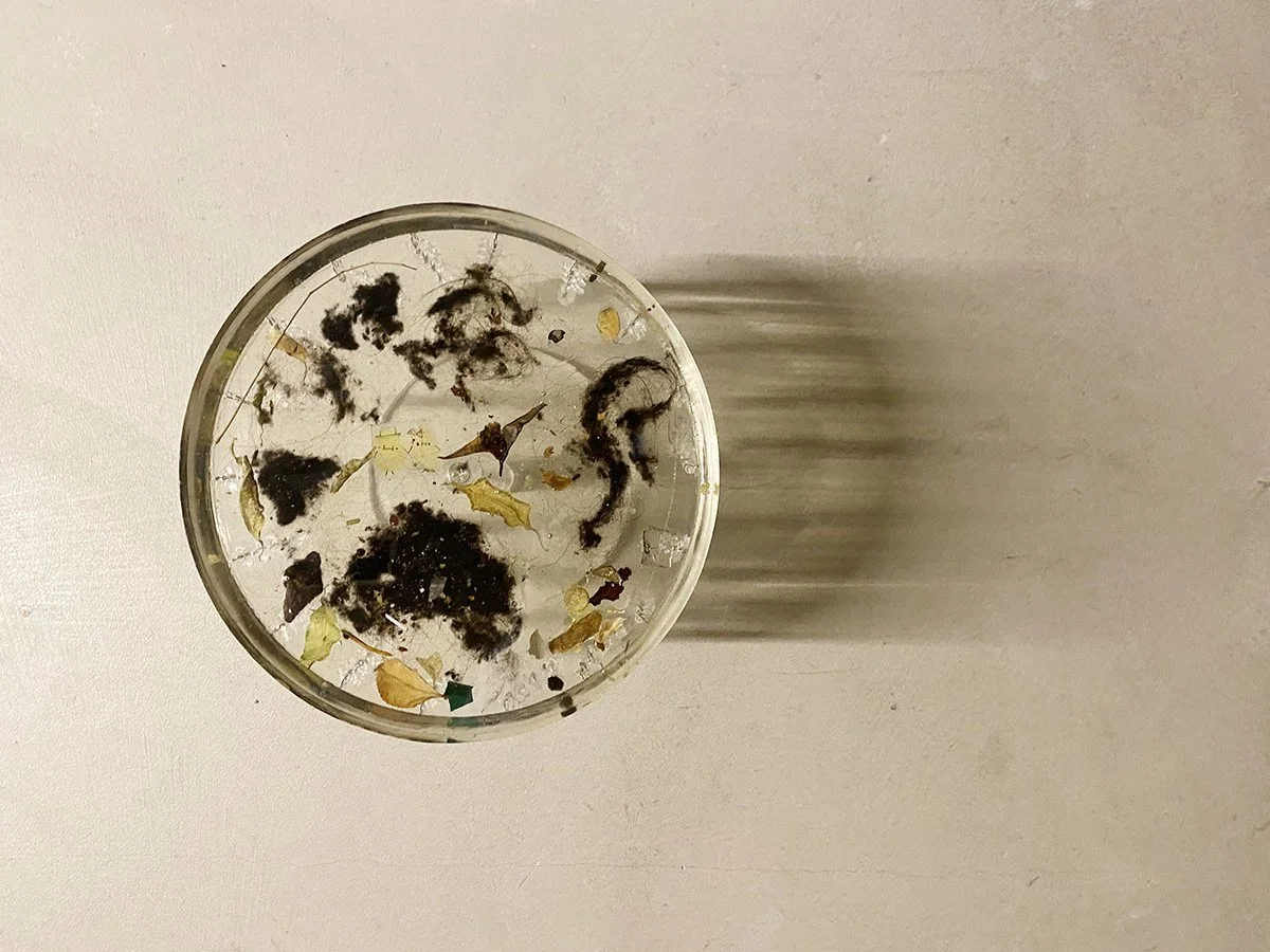 2- dysoncake, 2024_EMTM.jpg