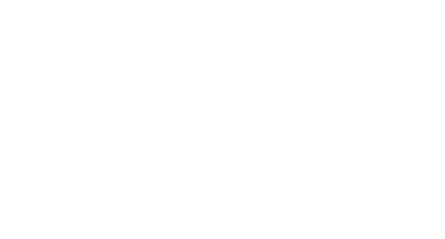 THE SERPA GROUP