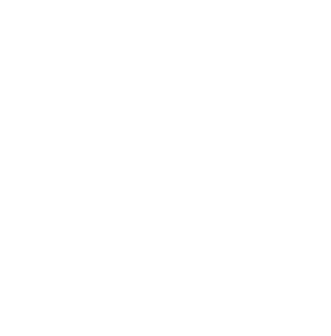 Black and white logo with stylized letter Z inside a shield shape.