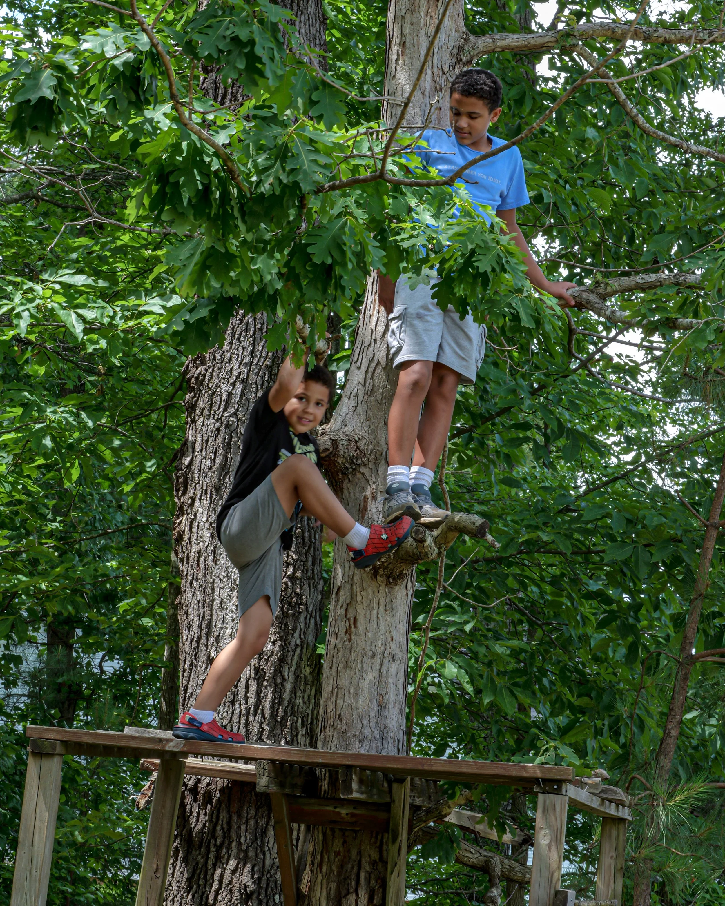 Title: "The Tree House Niree Built" (2025) Medium: Photography Dimension: 16x20 Photographer: Mario DeBlak Robinson Camera: Panasonic Lumix S5ii