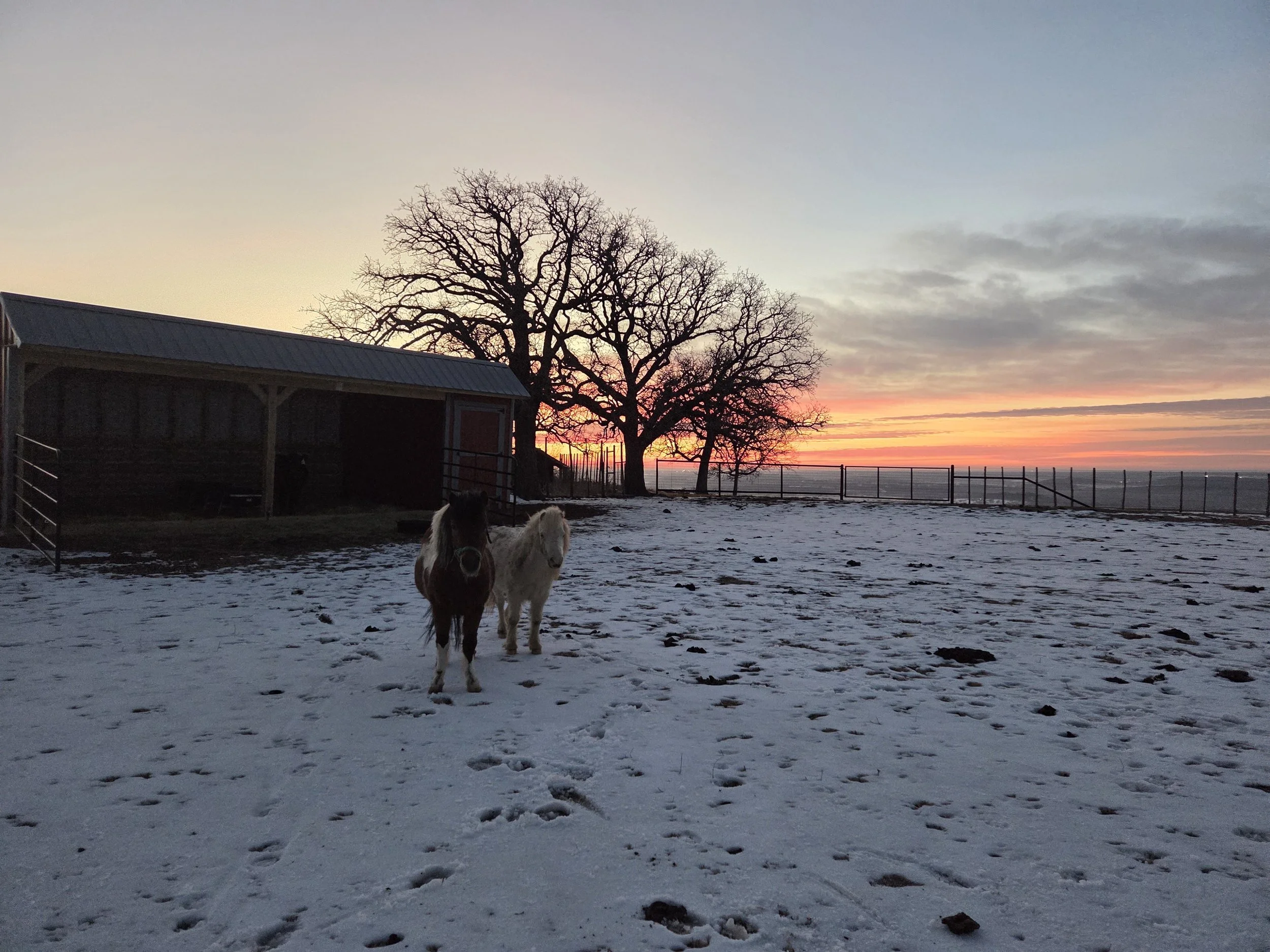 1450 E Farm Rd #219, Hico, TX 76457