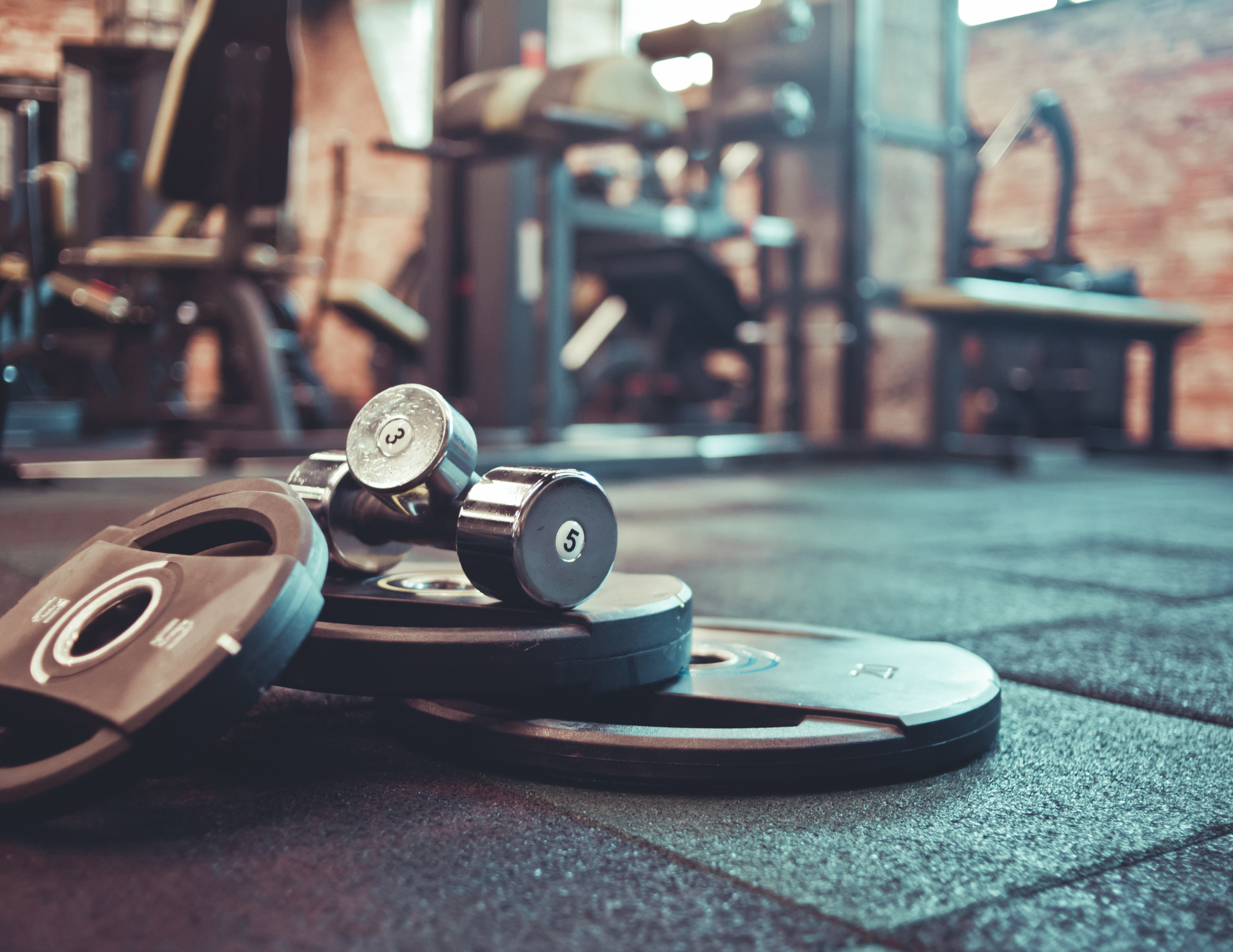 Why Weight Training Is One of the Best Things You Can Do for Longevity