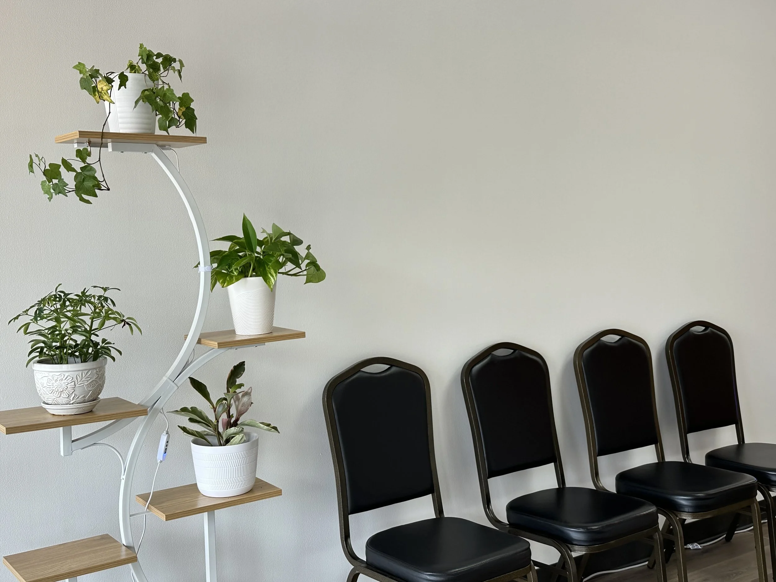 Seating Chairs at Vibra Chiropractic in Woodstock