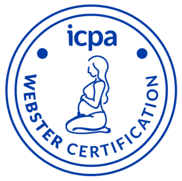 webster chiropractor