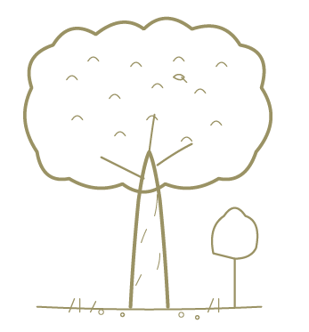 Icon representing mature trees and preserved open space