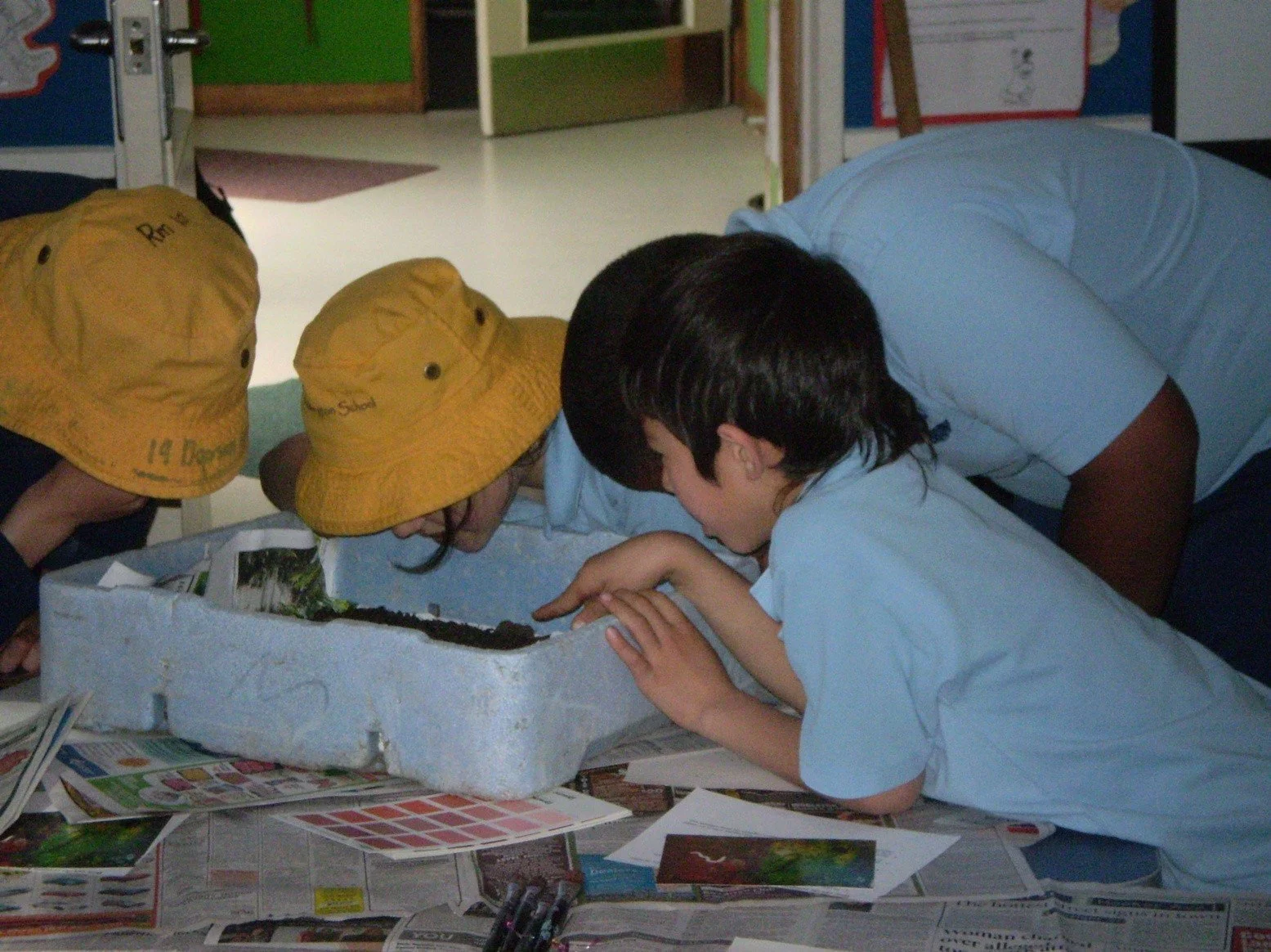 Picture22.jpg