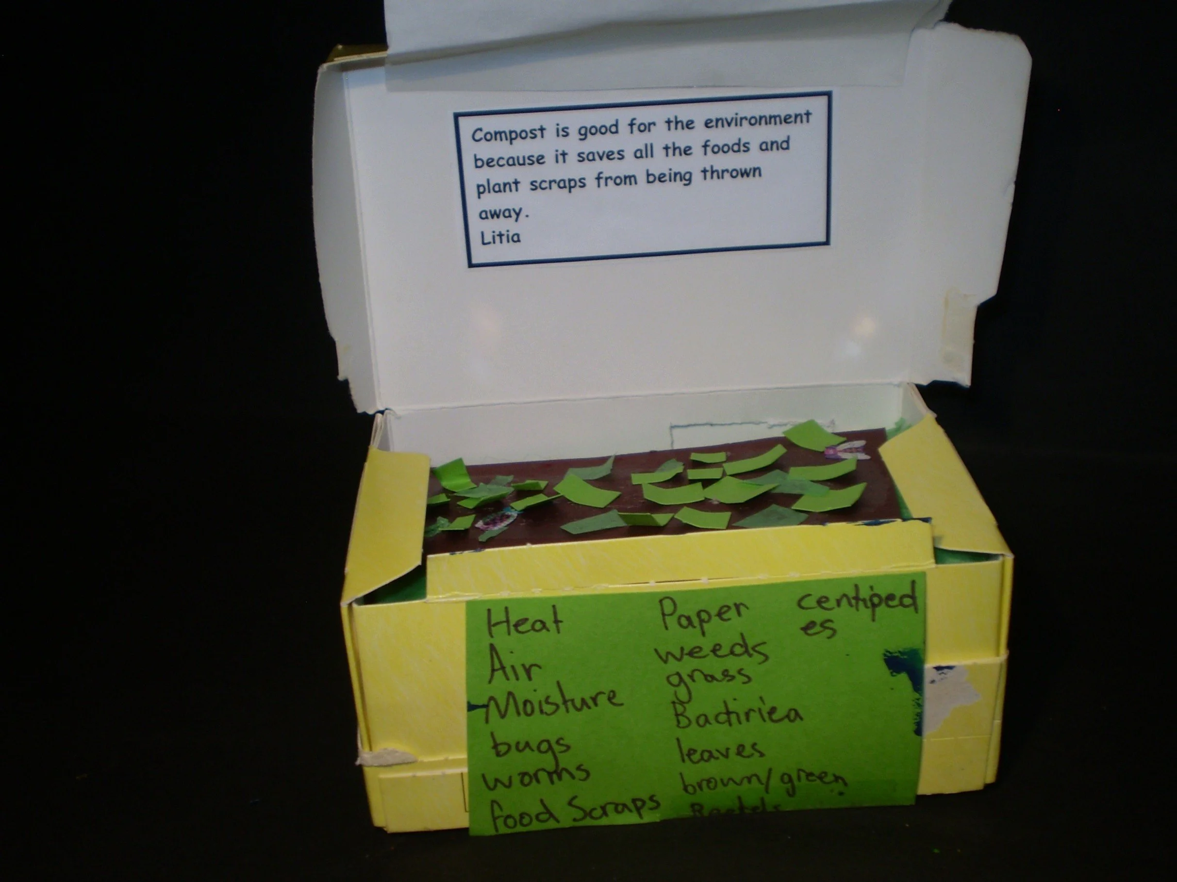Picture36.jpg