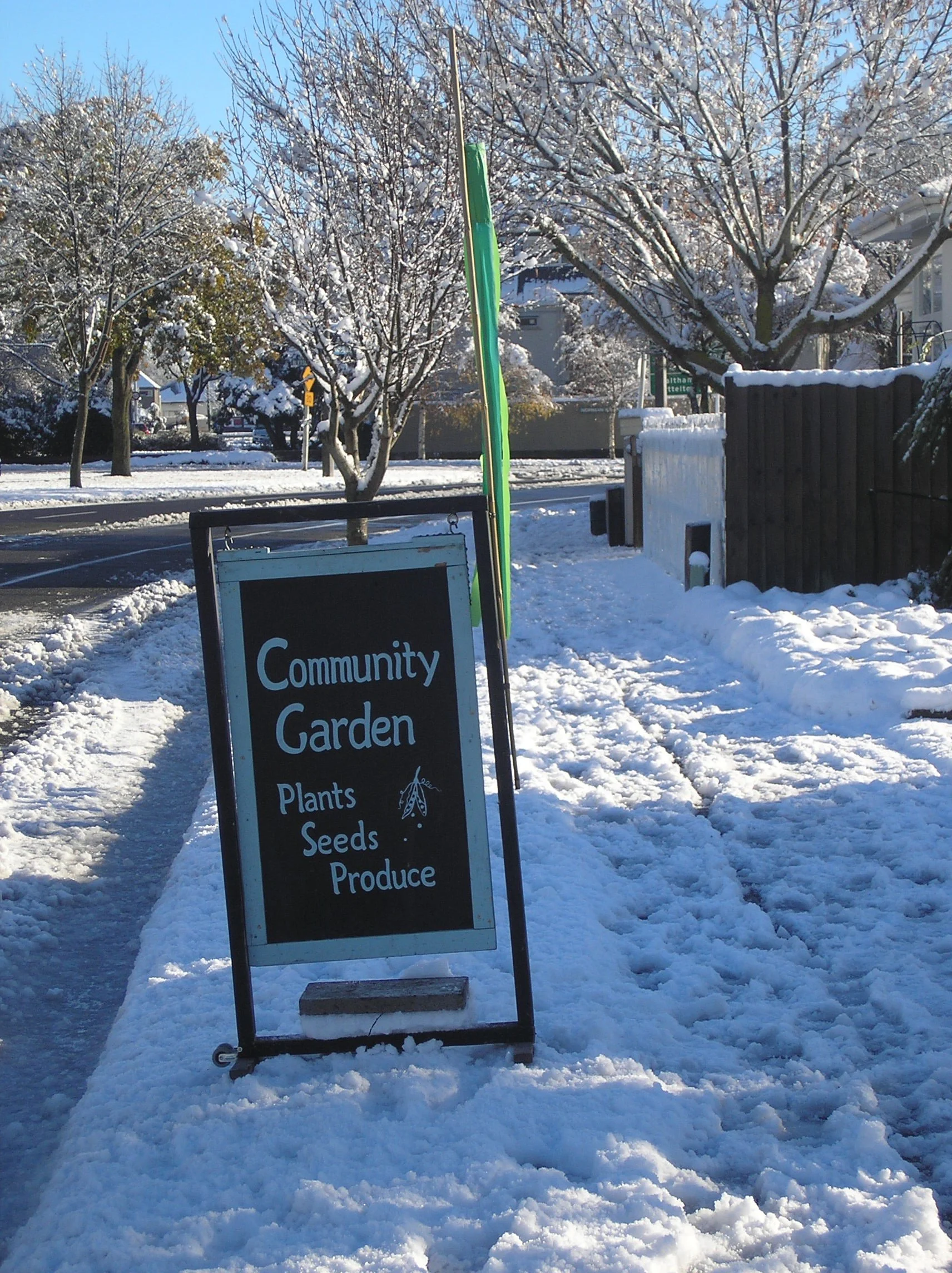 Snow 1.JPG