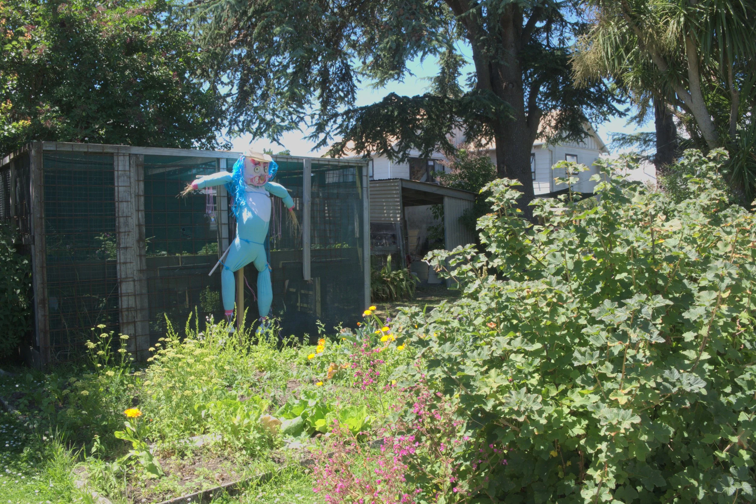 A colorful piñata hanging outside in a garden with various plants, trees, and a shed behind it on a bright, sunny day.