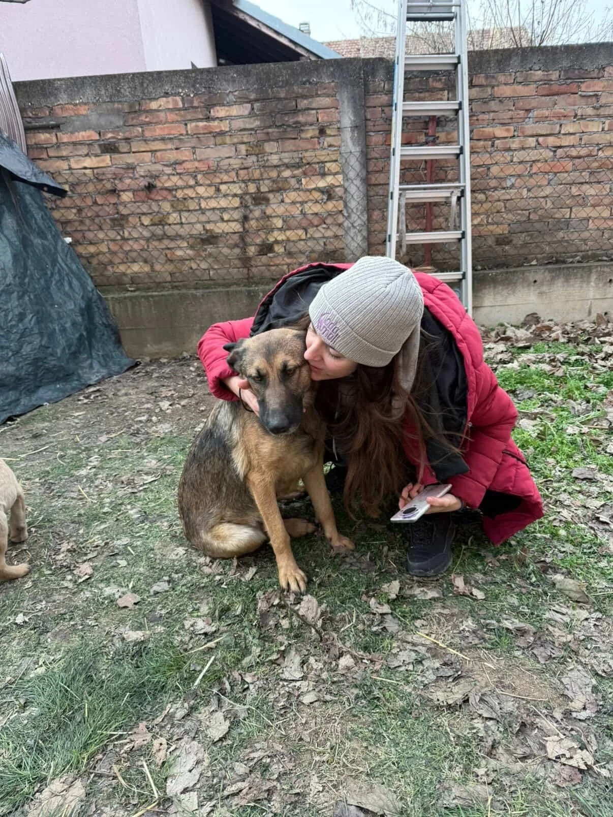 A woman in a gray beanie and red jacket is giving a gentle kiss on the head to a brown and black dog sitting on the ground, outdoors, near a brick wall and a metal ladder.