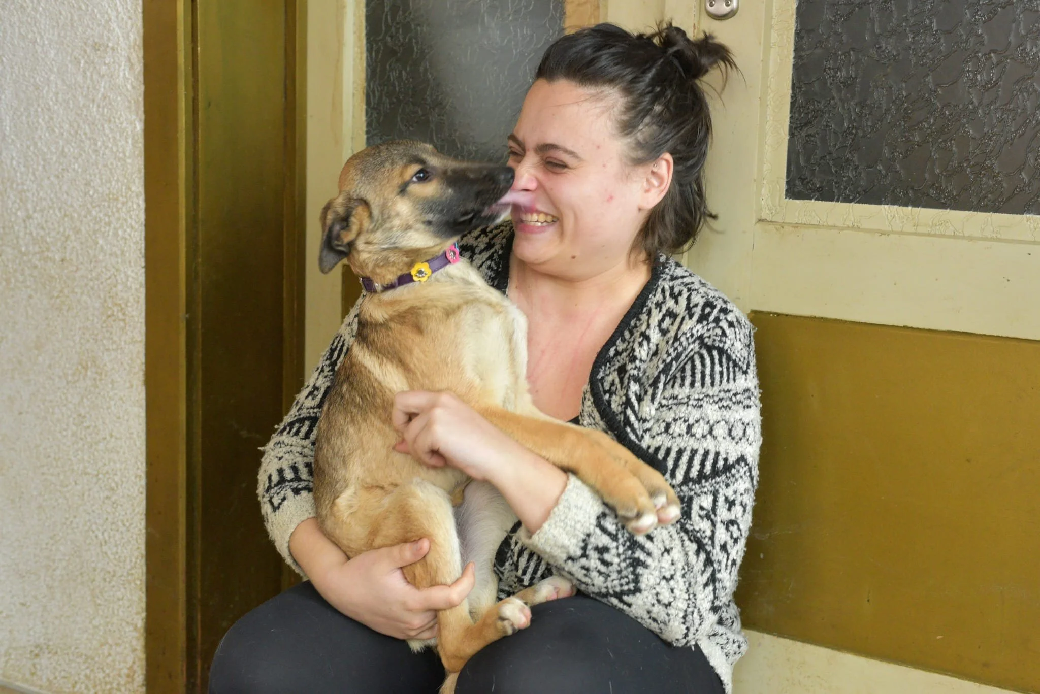 A woman is smiling and holding a young dog, which is licking her nose. They are indoors near a yellow wall and door.
