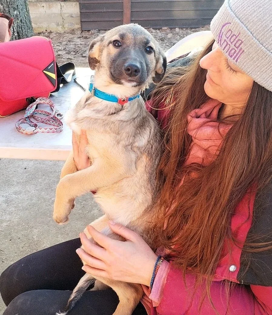 A woman with long red hair wearing a gray beanie and pink hoodie holds a mixed breed puppy with tan and gray fur, blue collar, and a black nose. The woman is outdoors near a picnic table and a wooden fence.