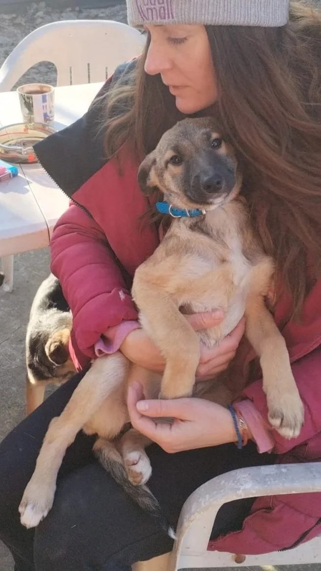 Woman wearing a gray beanie and red jacket holding a small puppy with a blue collar, sitting outdoors on a white chair near a table with a coffee mug, ashtray, and other items.