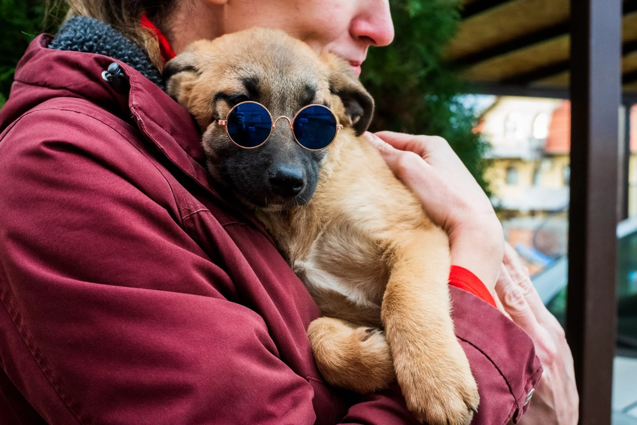 A person in a maroon jacket is holding a tan puppy with a black face, wearing round sunglasses, outdoors with trees and a building in the background.