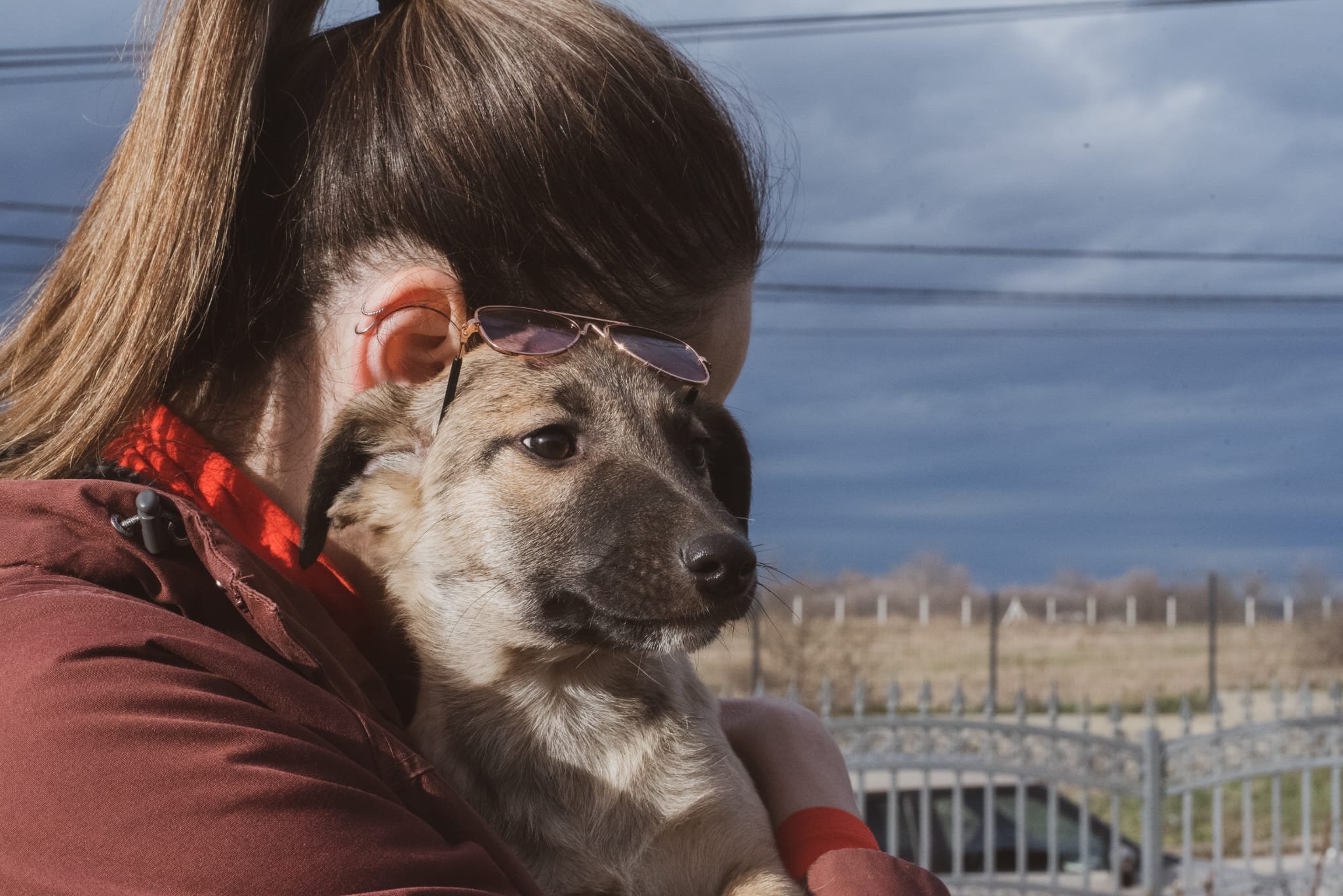 A woman with brown hair, wearing sunglasses on her head and a brown jacket, is holding a small, young puppy outdoors. The puppy has light gray and tan fur and is looking to the side. The background shows a cloudy sky, a fence, and some distant landsc