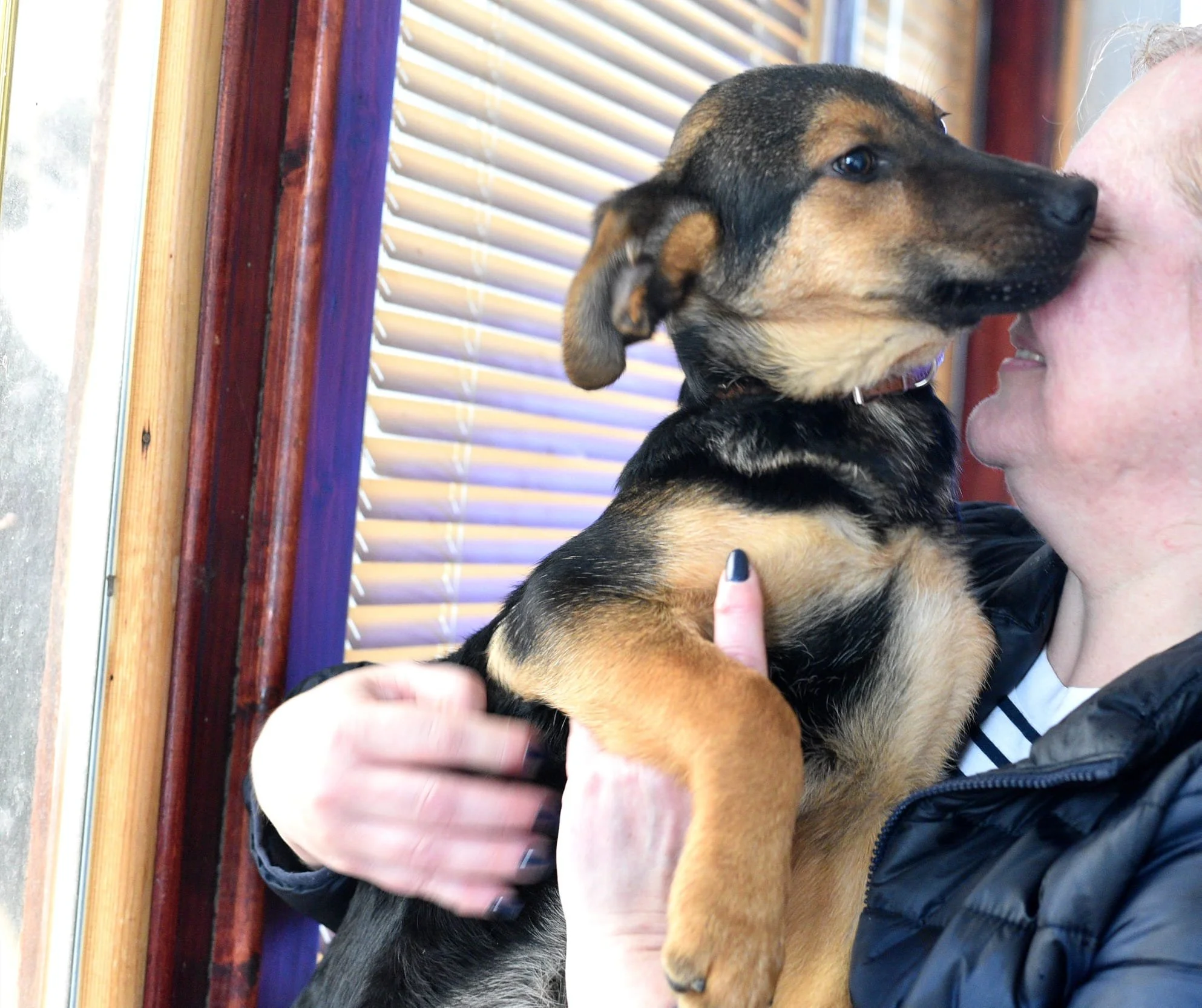 A woman holding a small black and tan puppy close to her face inside a room with wooden window blinds.