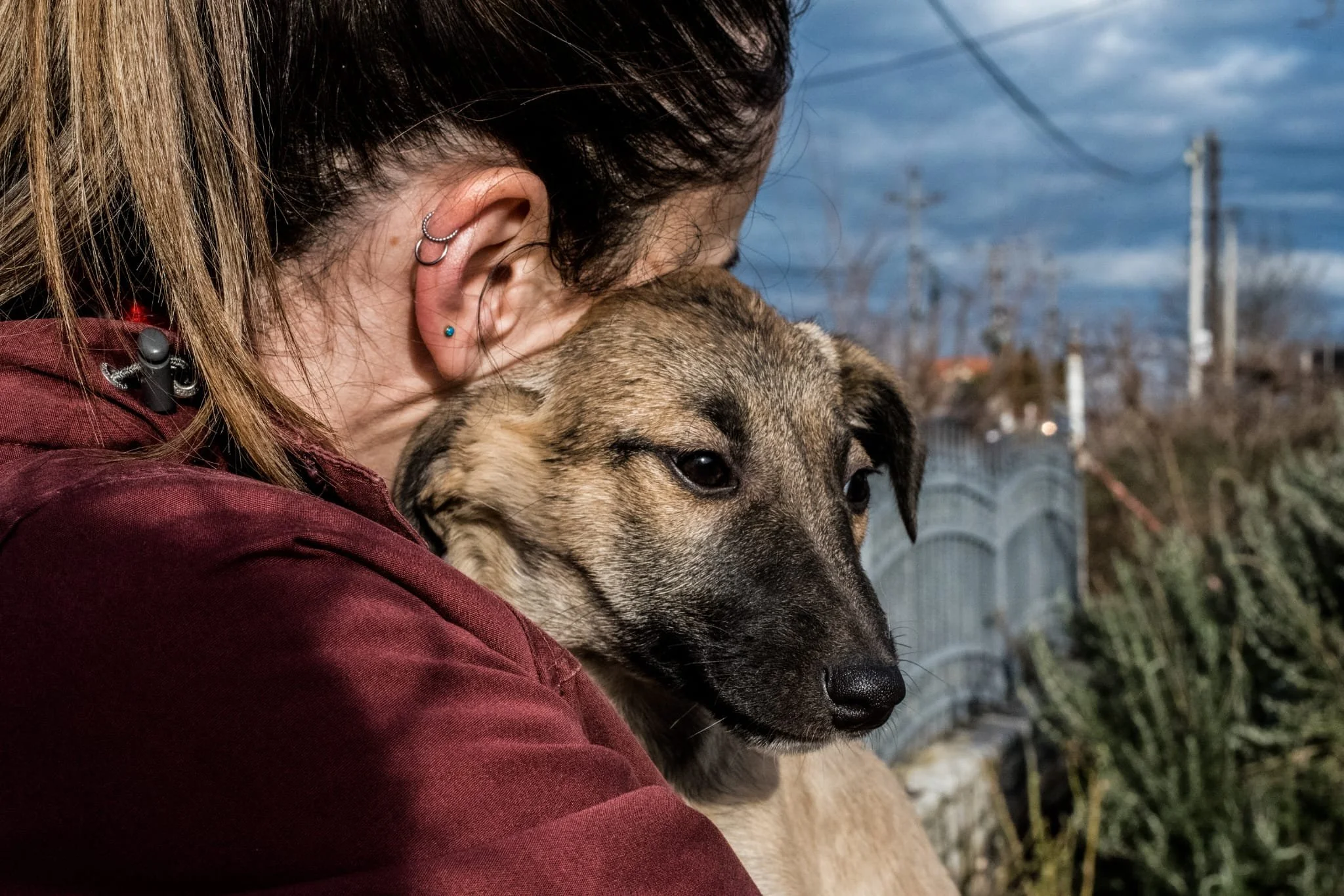 Person hugging a young dog outdoors, with trees, a metal fence, and power lines in the background.