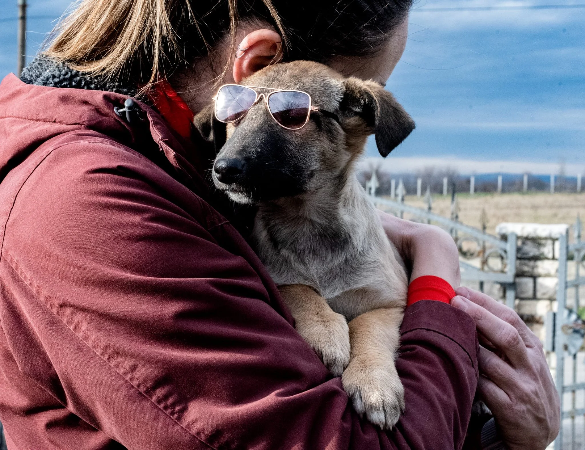 Person wearing a red jacket holding a dog with sunglasses on its head, outdoors with a cloudy sky and rural fencing in the background.