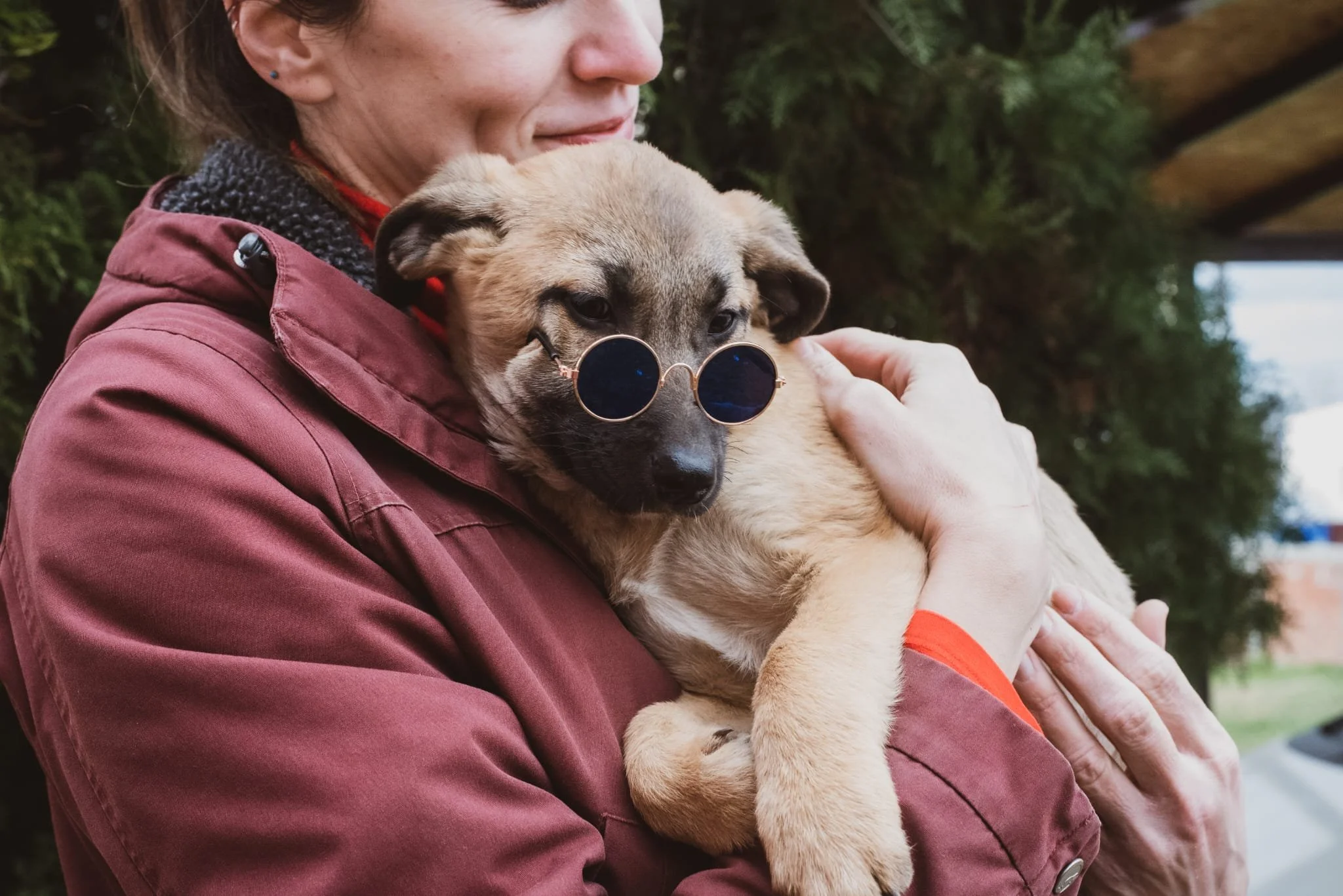A woman holding a tan puppy wearing sunglasses outdoors, with trees visible in the background.