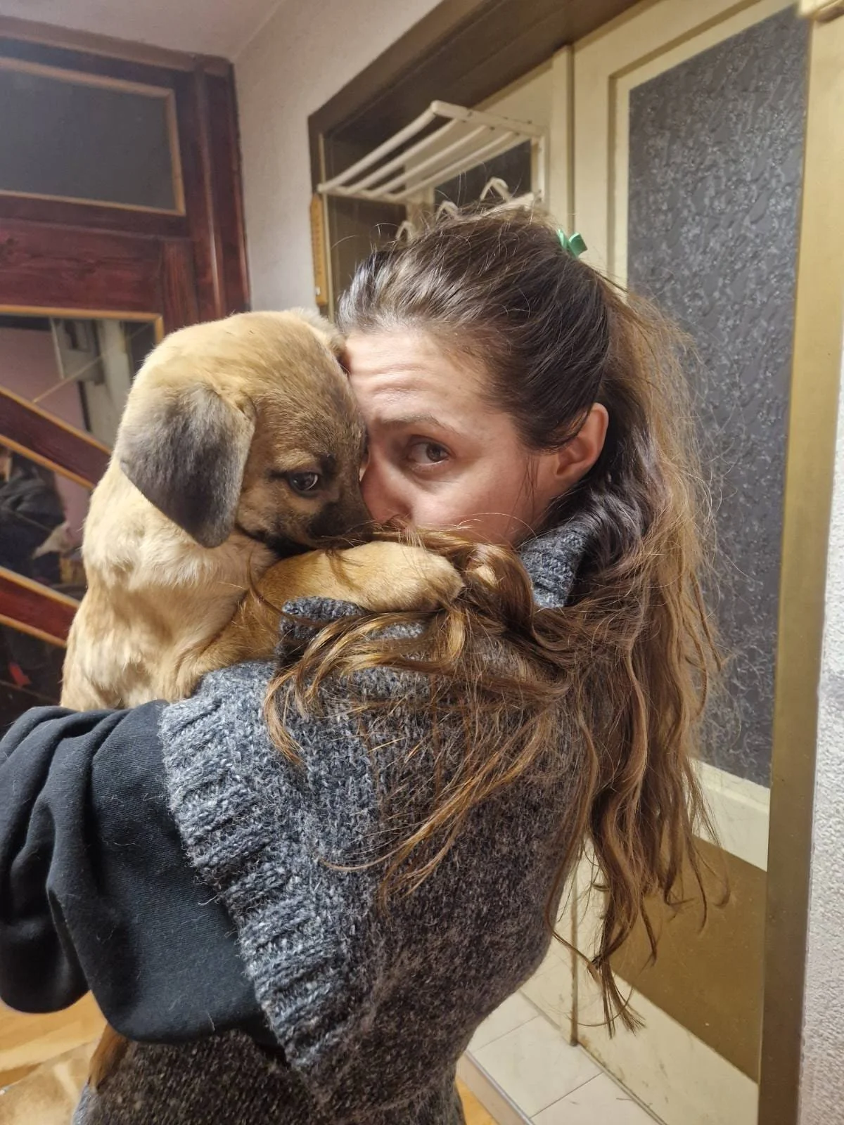 A woman with long, wavy hair holding and cuddling two small dogs, one light-colored and one darker, indoors near a door and a window.