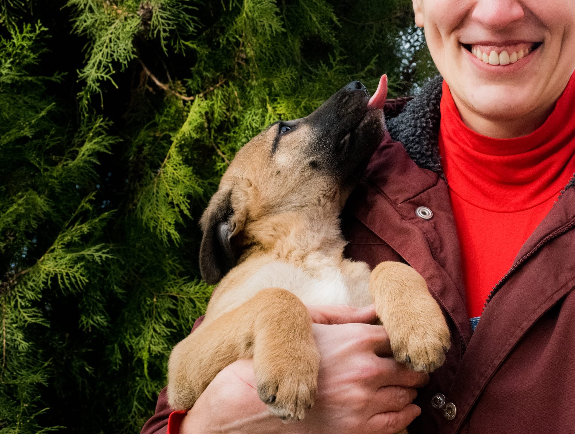 Person holding a puppy outdoors with green foliage in the background. The puppy is licking the person's face and the person is smiling.
