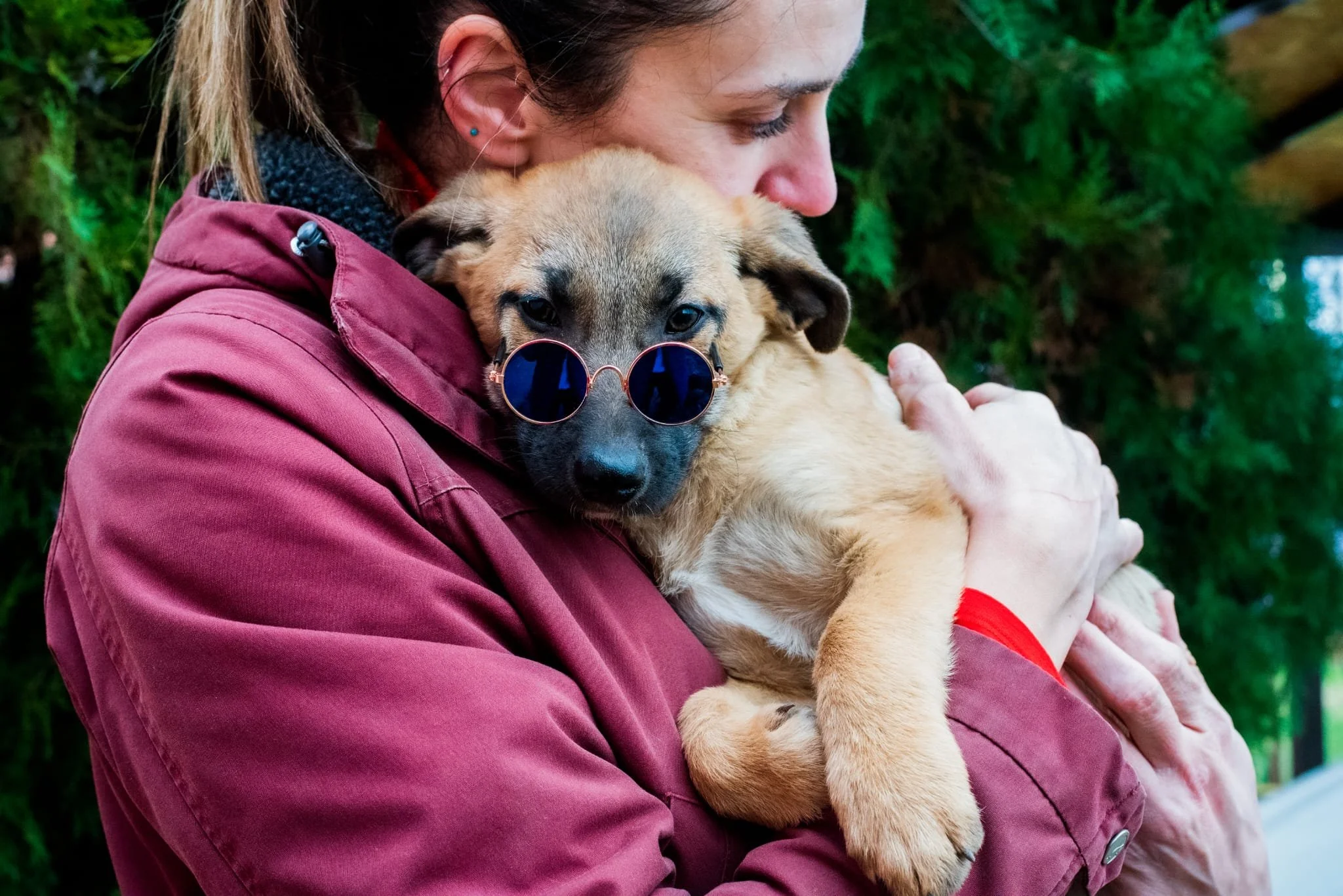 Person holding a puppy wearing sunglasses close to their face outside with trees in the background.